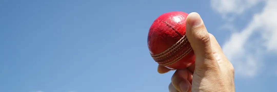 Cricket Skills Clinic