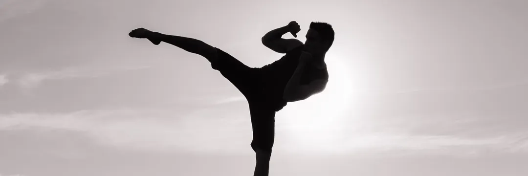 MMA Training (All Levels)