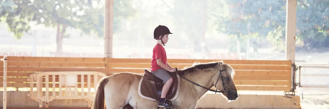 Junior Stable Day