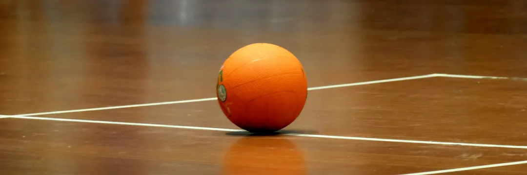 Learn and Play Dodgeball