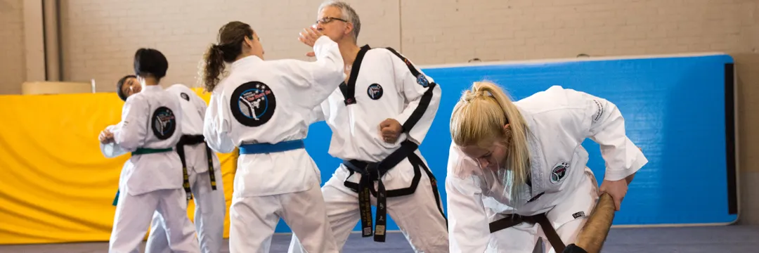 Adult Tae KwonDo 