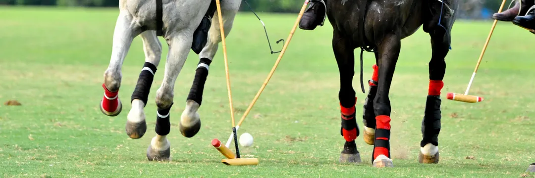 Riverlands Private Polo Lessons