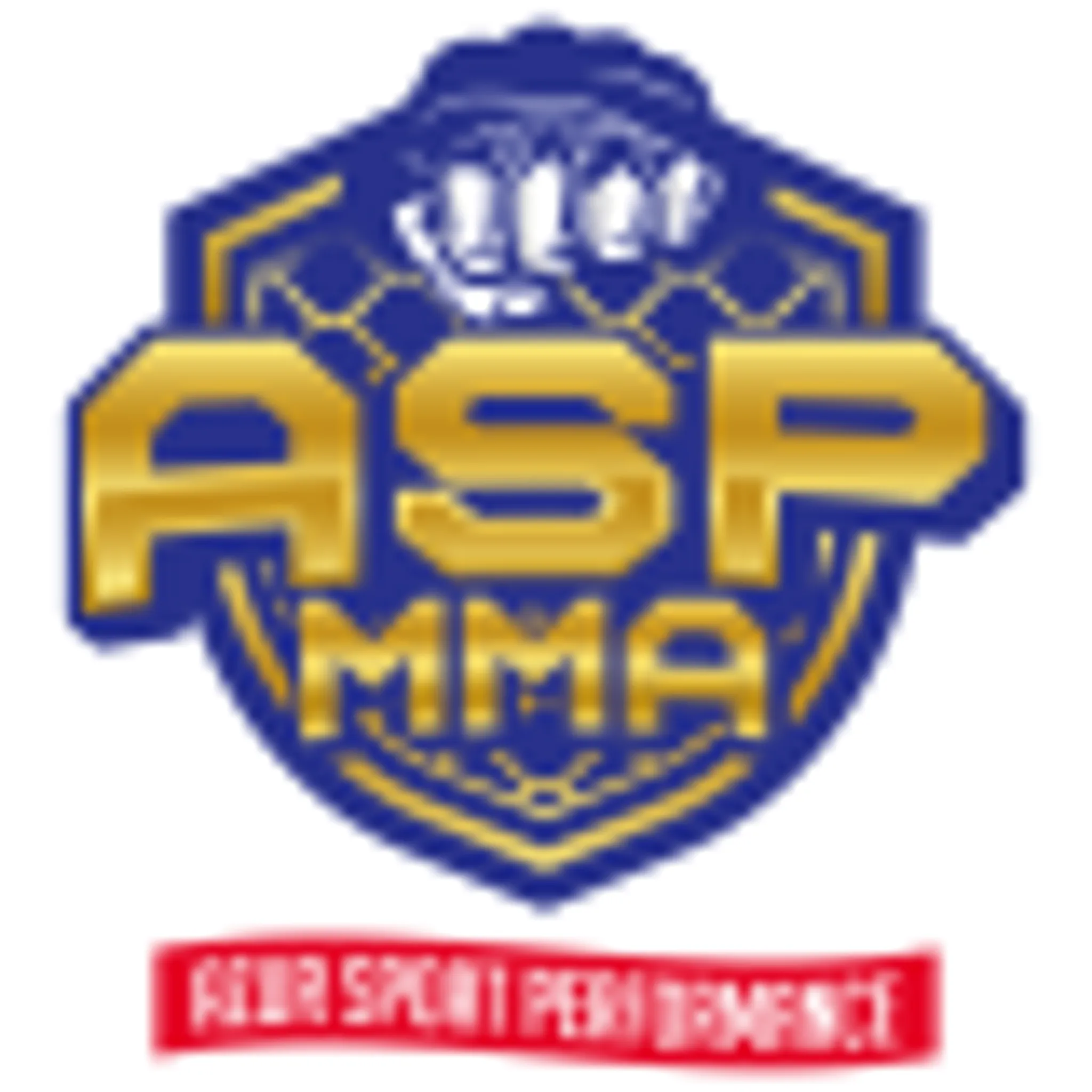 Blue Sport And Performance Cannes Club De Mma Loisirs Et Compétitif