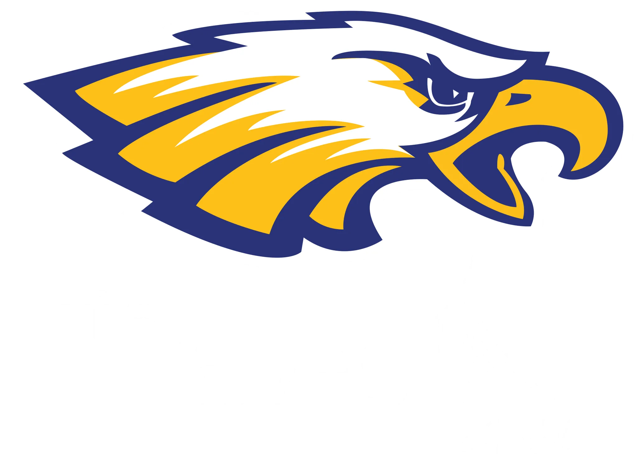 The Waves AFL Club Bundaberg