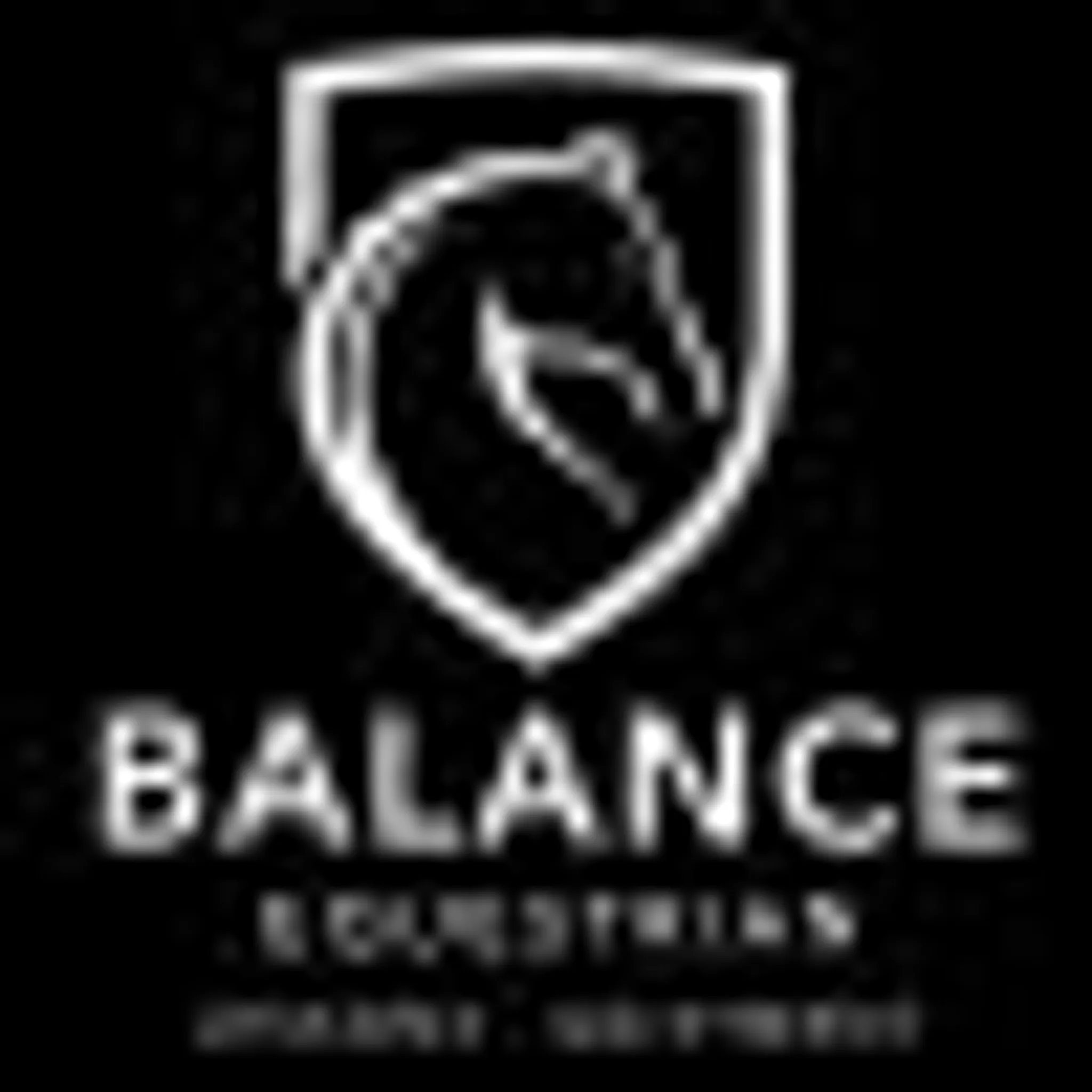 Balance Equestrian Riding School