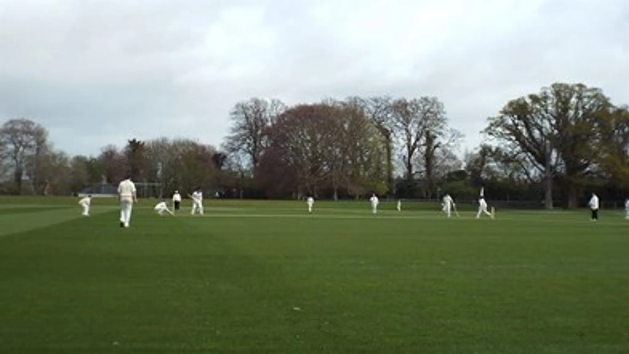 Bats and Bubbles Evening with the Sunrisers