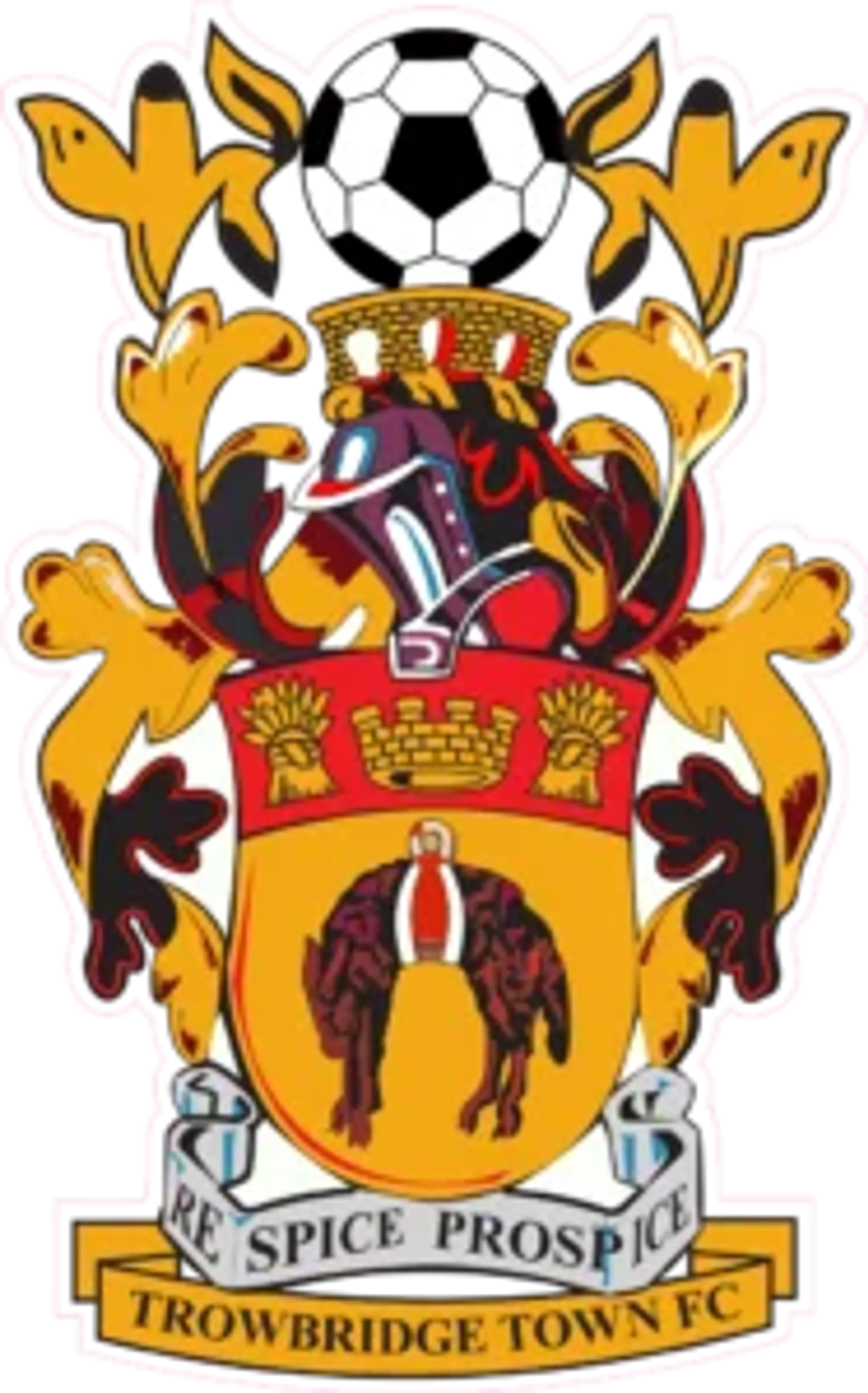 Trowbridge Town Football Club