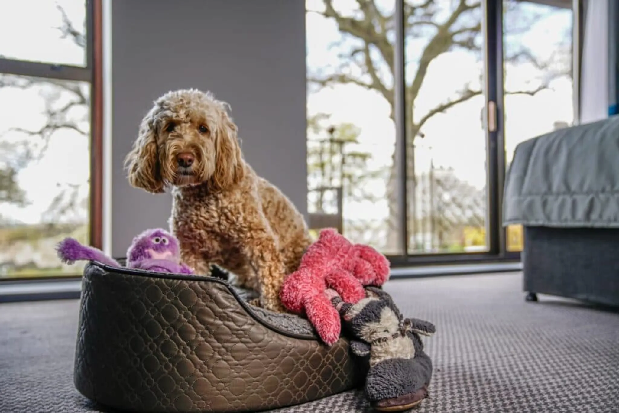 Rutland Hall Hotel & Spa Leisure Club