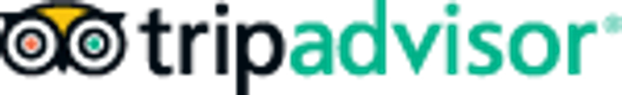 Reef Fishing Charters 1770