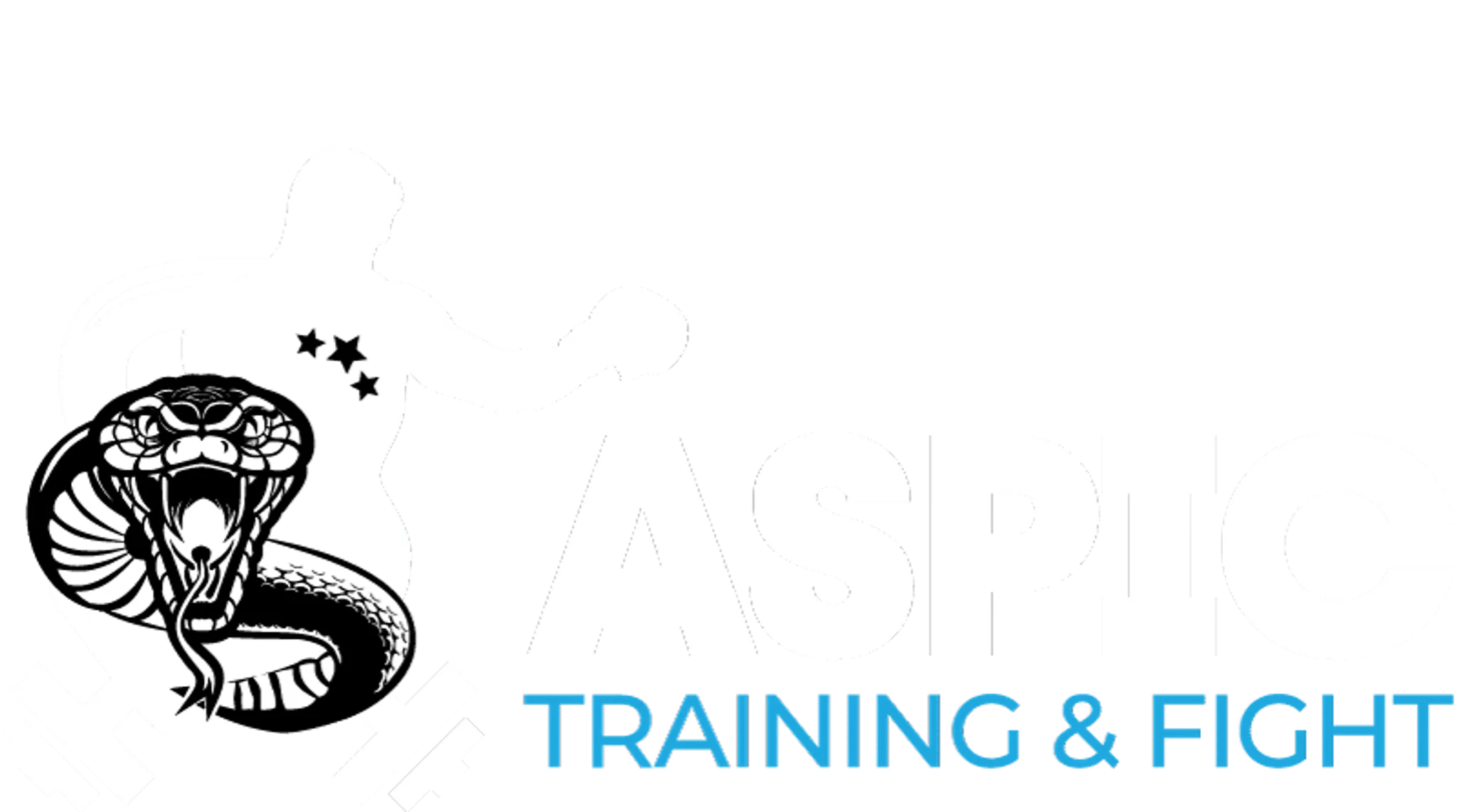 Aspic Training & Fight