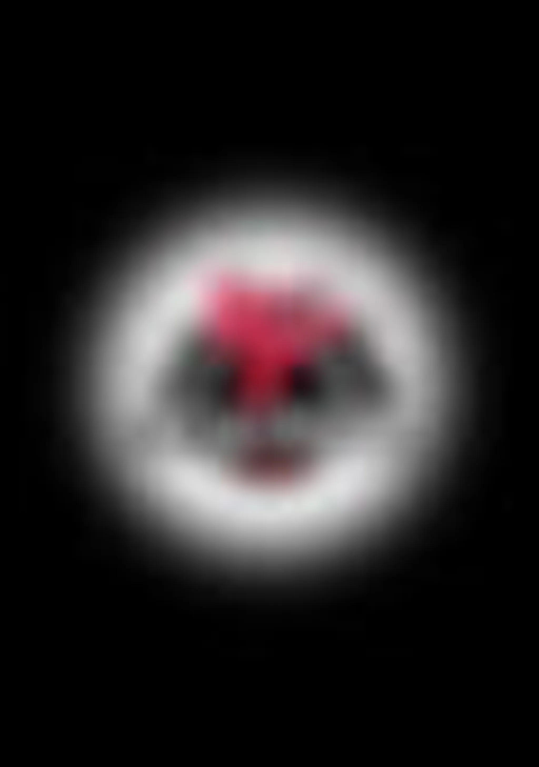 FIT & FIGHT DOJO Sports de Combat & Fitness