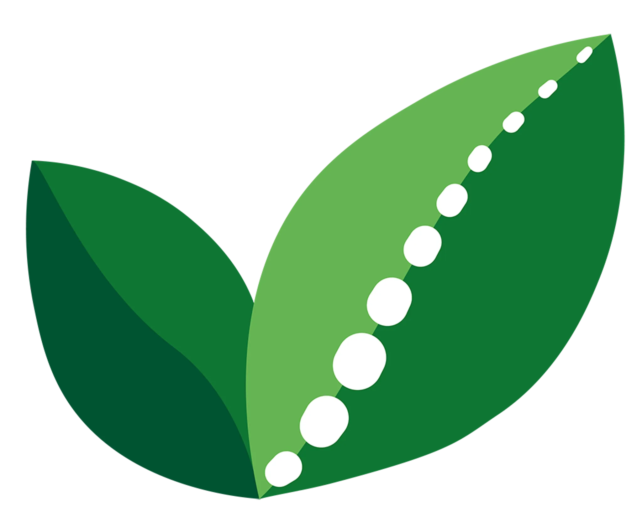 Formation Physiotherapy and Pilates Studio