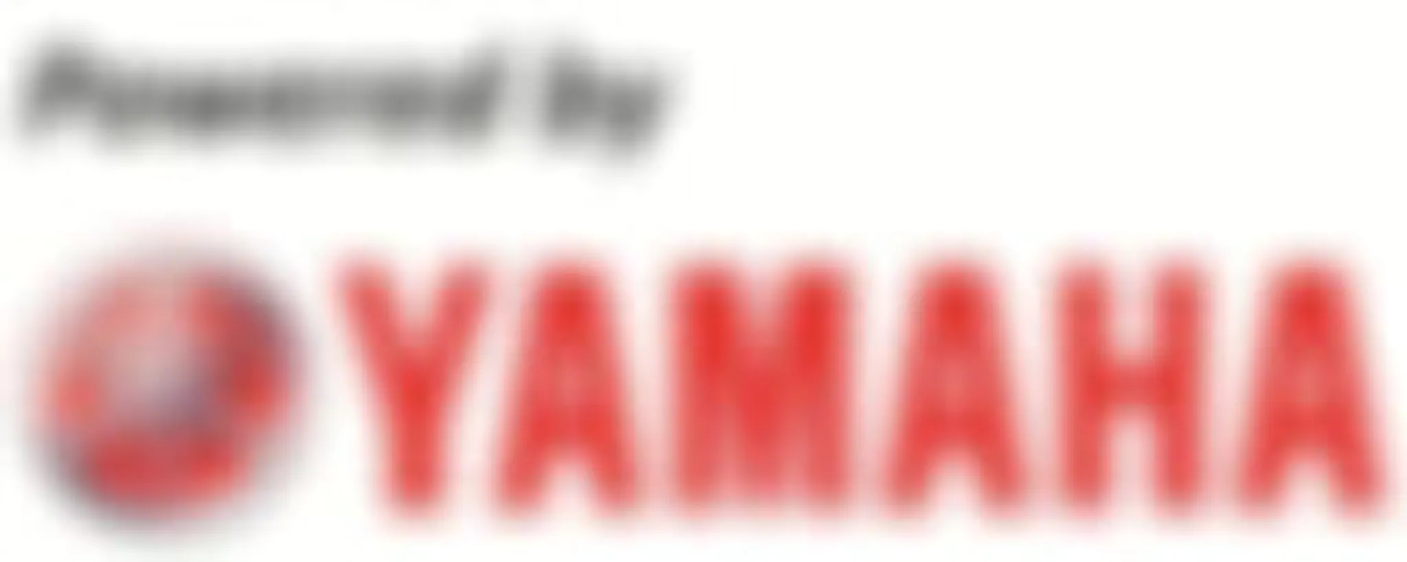 Yamba Fishing And Charters