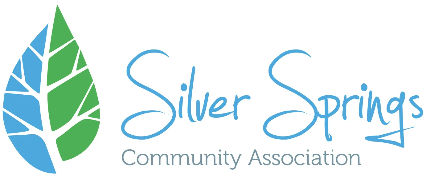 Silver Springs Outdoor Pool