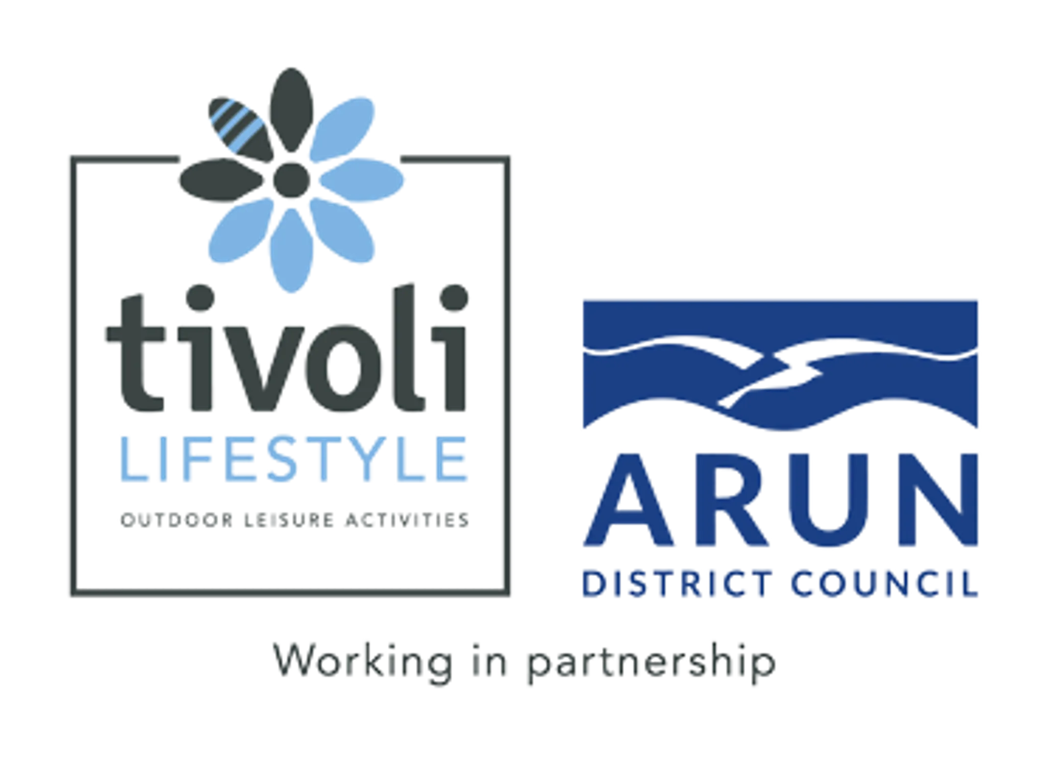 Wildforest Falls Miniature Golf