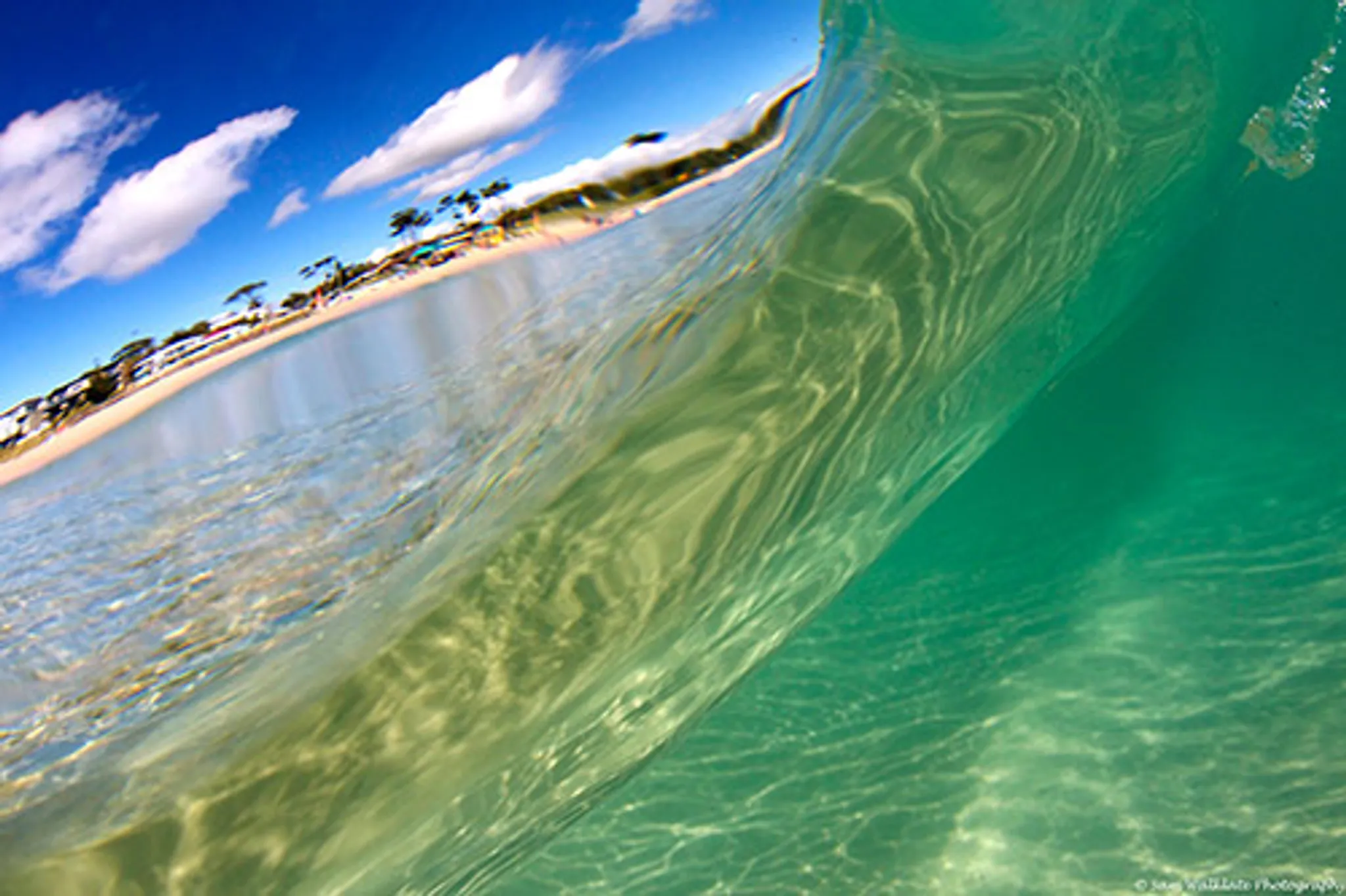 Mollymook Beach Surf School