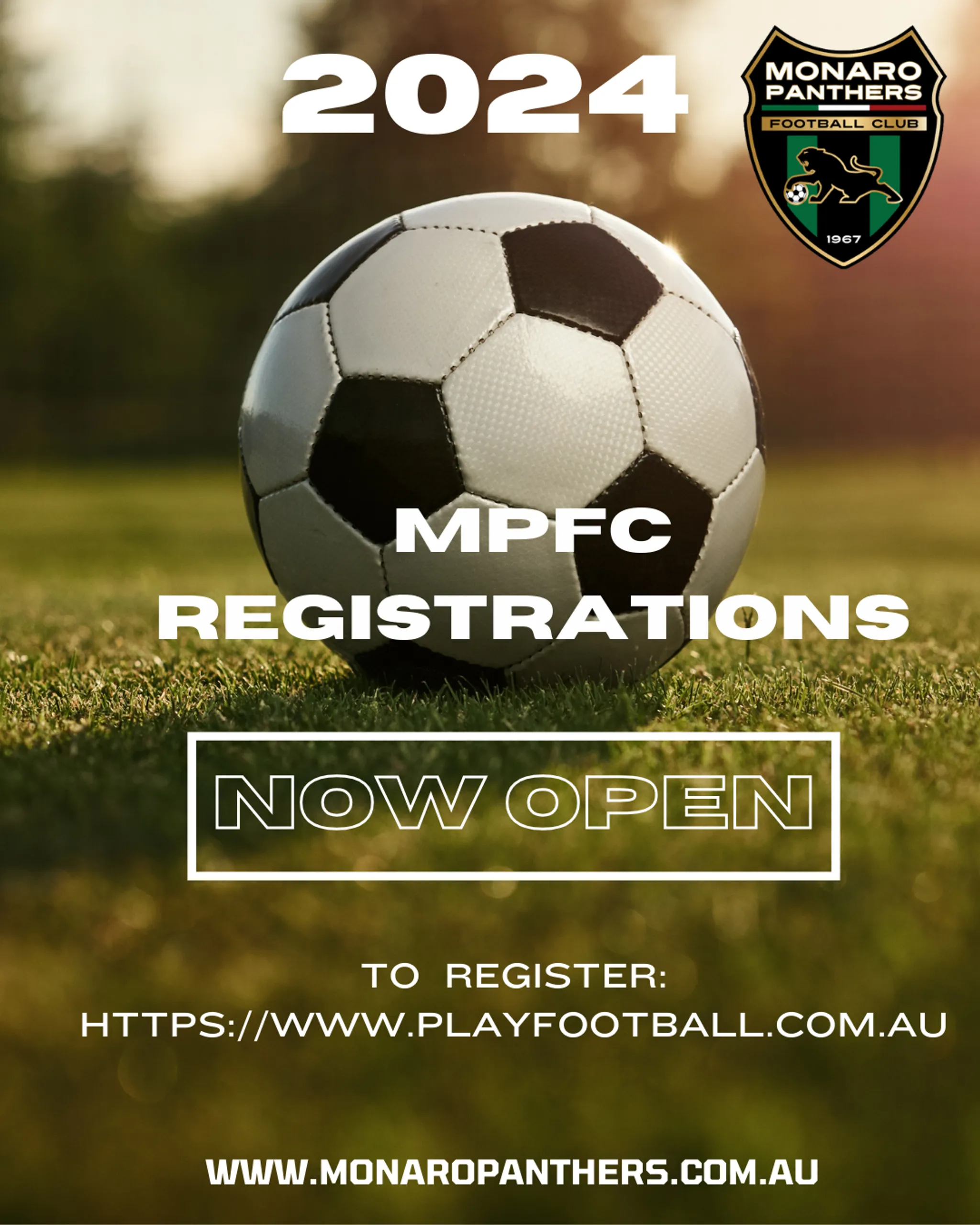 Monaro Panthers FC