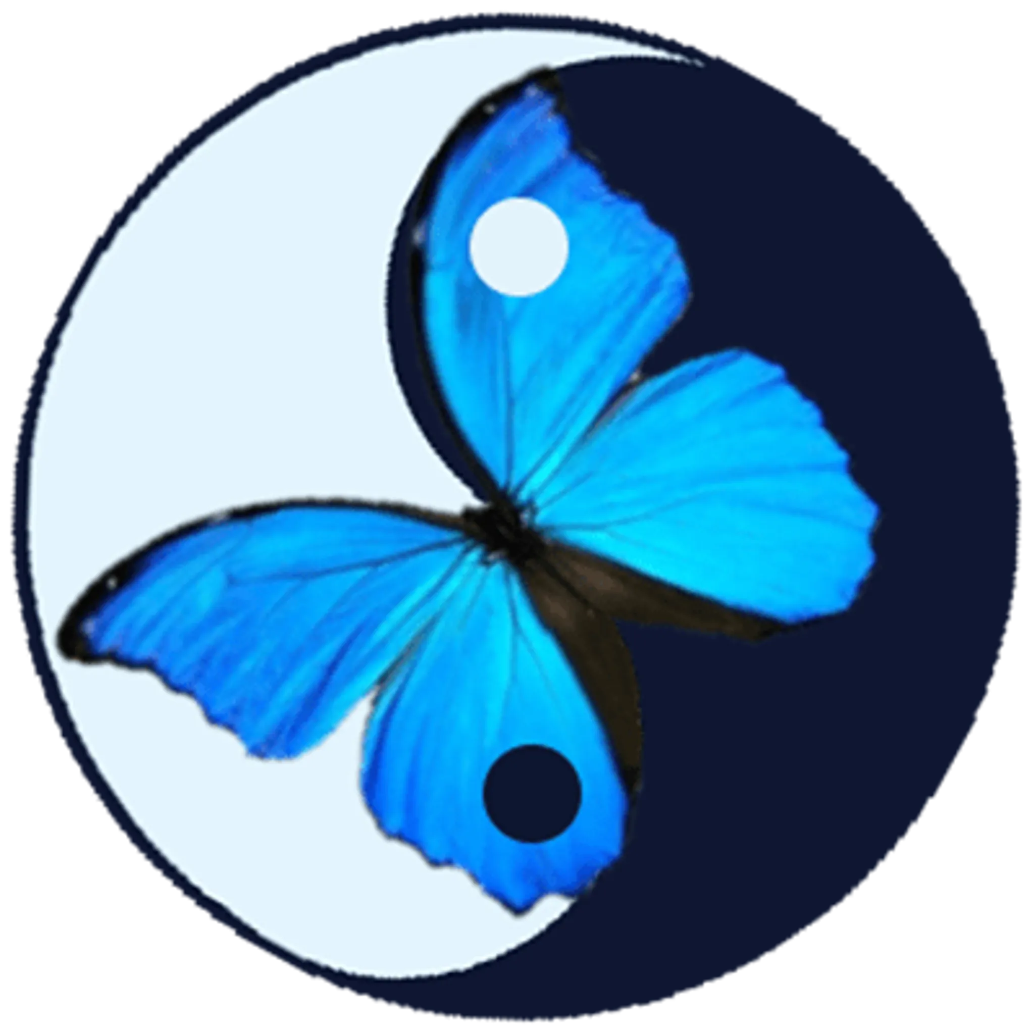 Blue Morpho Edinburgh