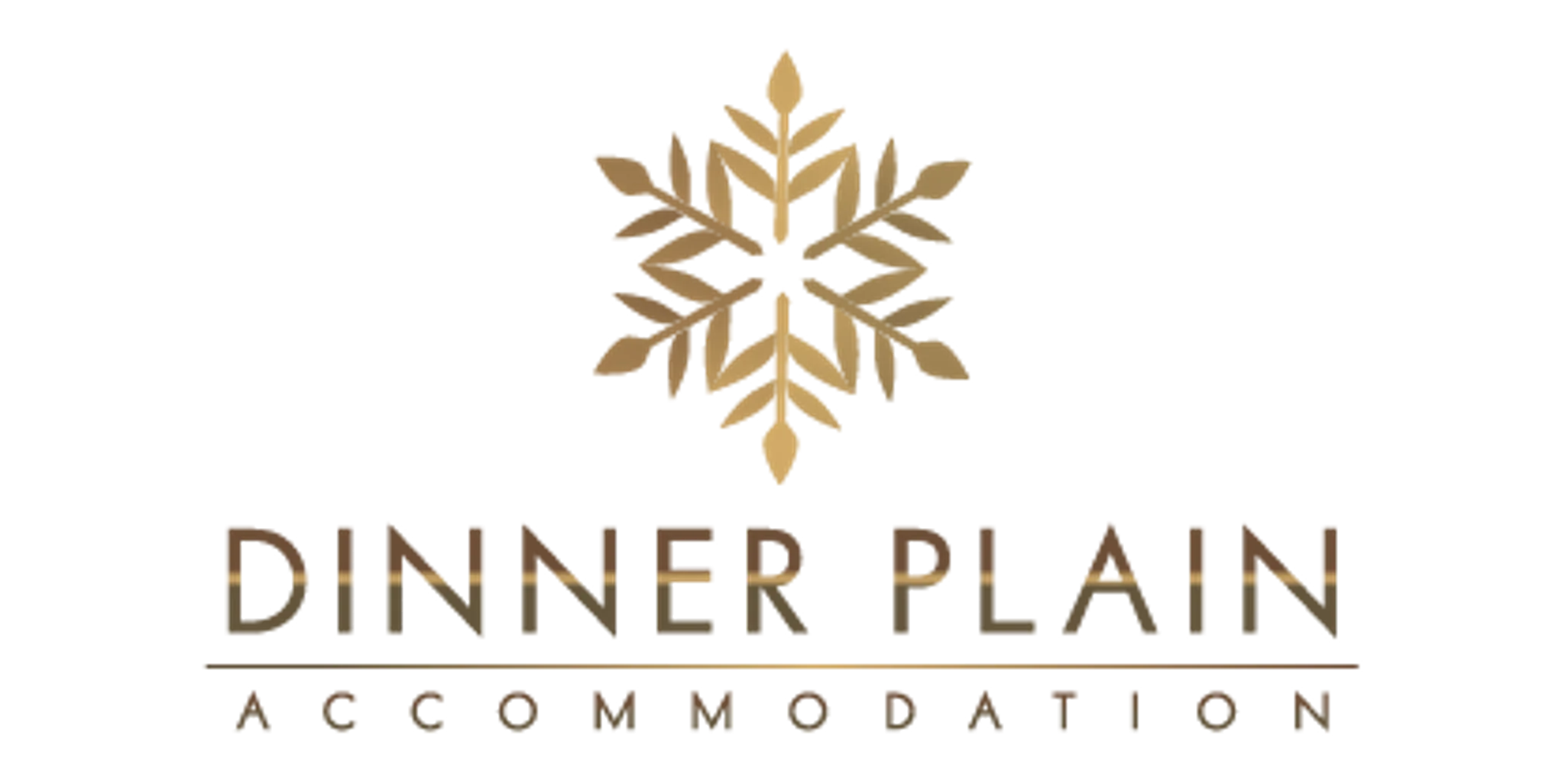 Dinner Plain Accommodation