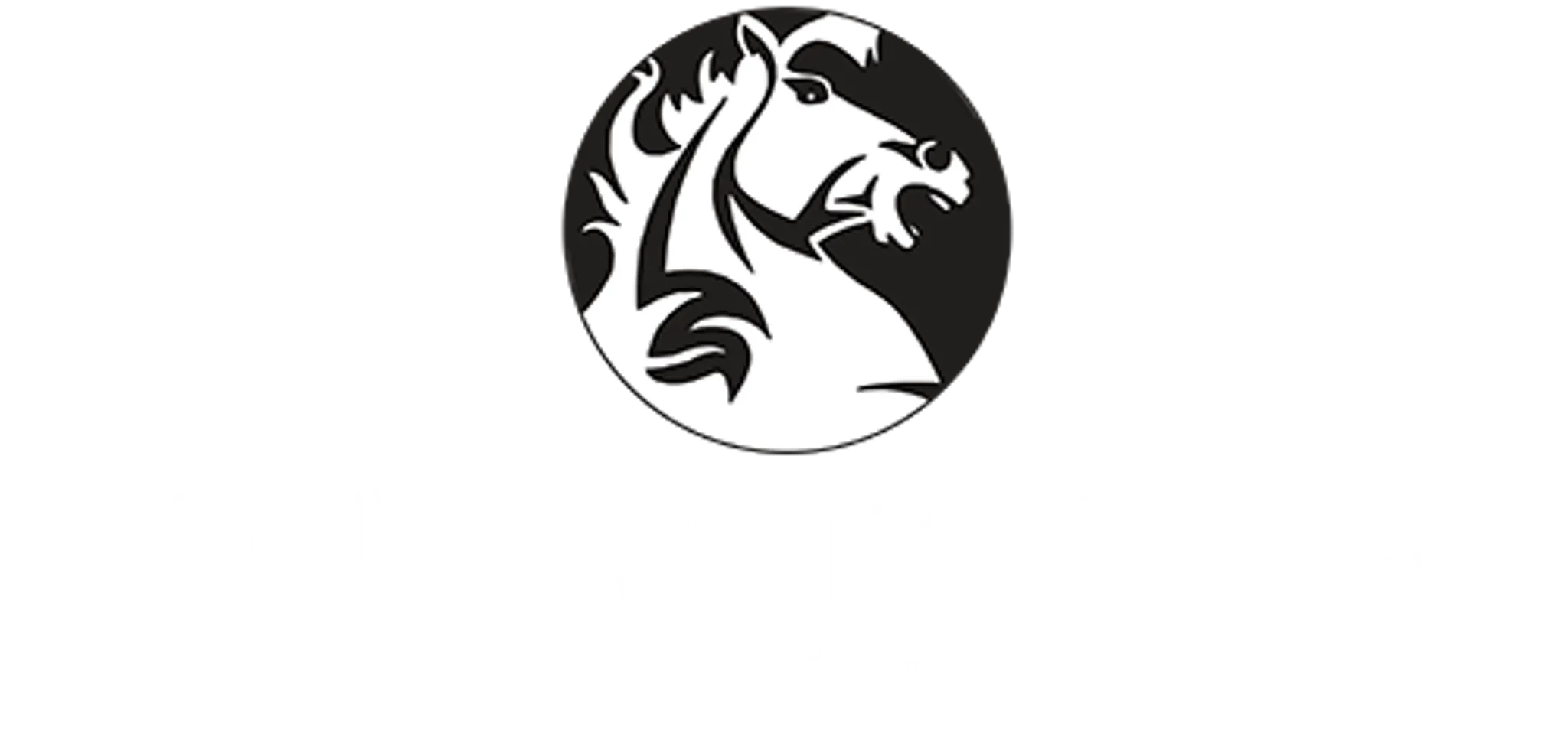 Roslyn Wakari Association Football Club Dunedin. RWAFC