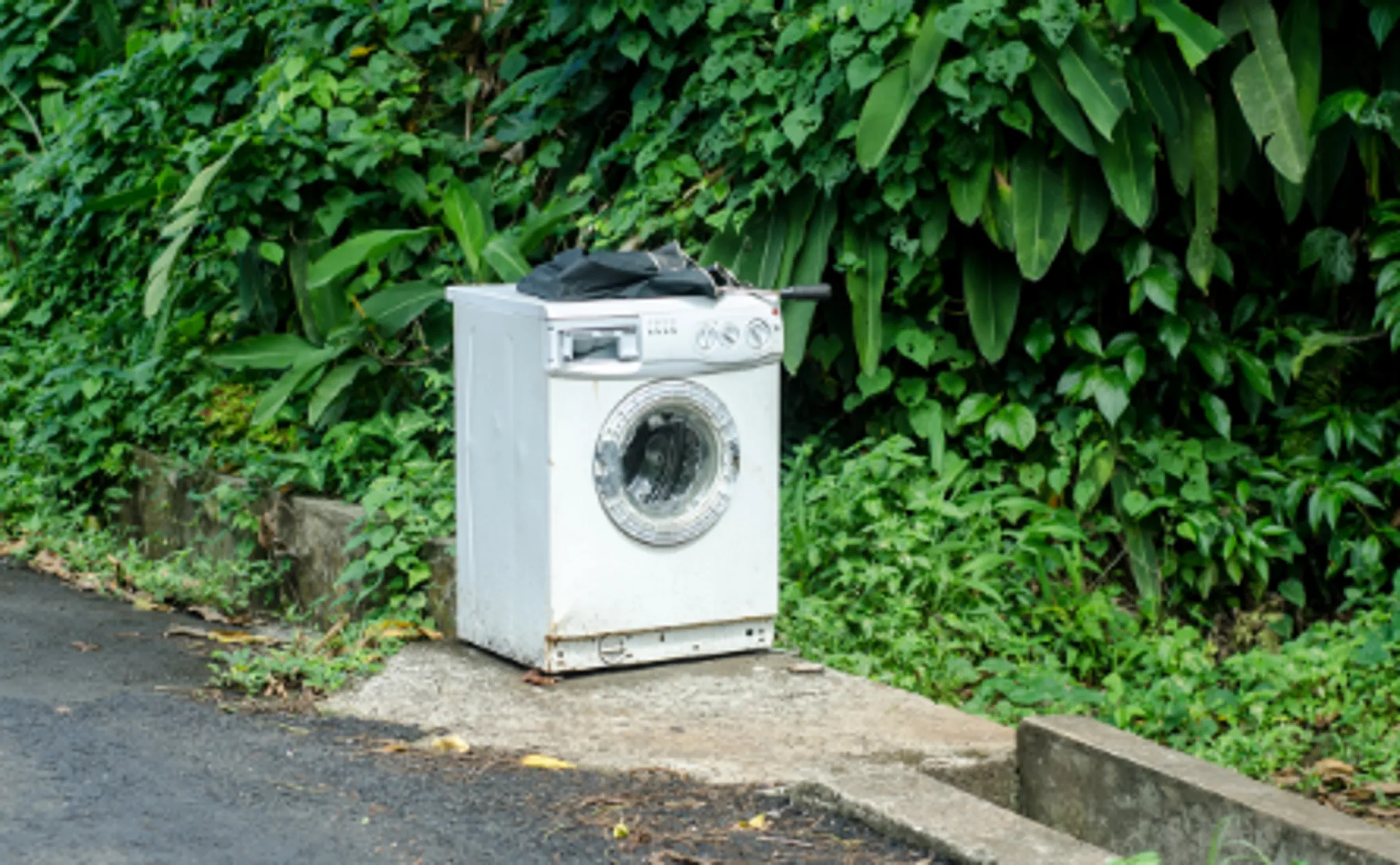 Paradise Double Ice Complex