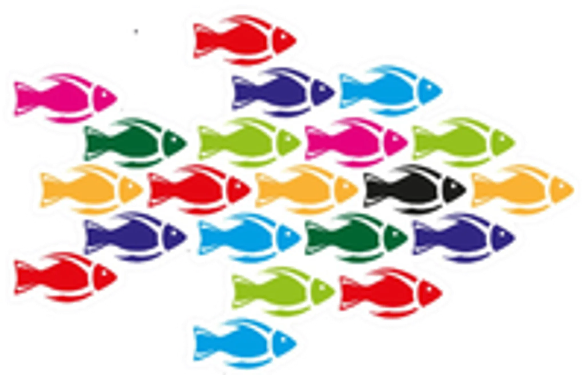 HALF Fish HQ @ Daisyfield Pools