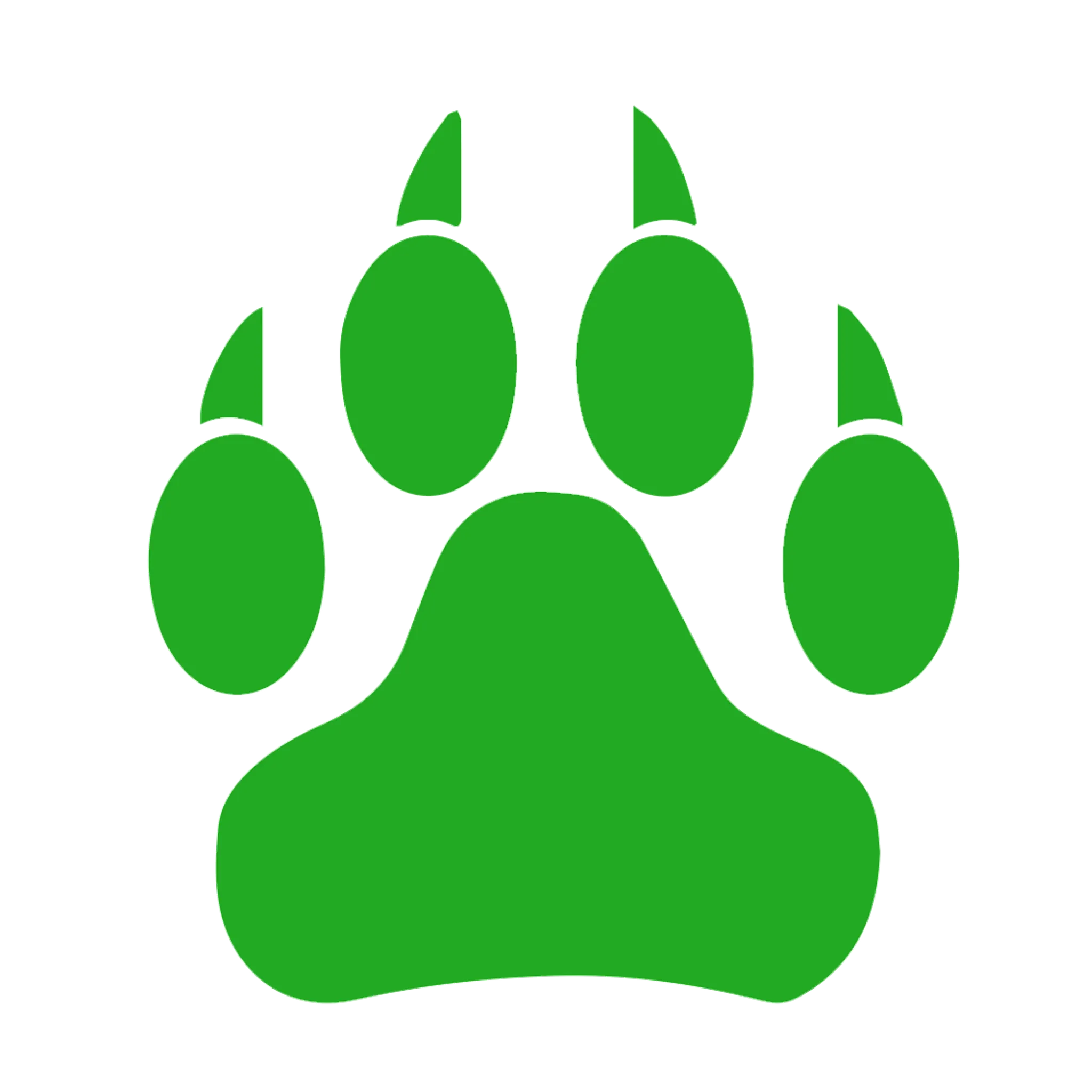 Madra Mor Boxing Academy