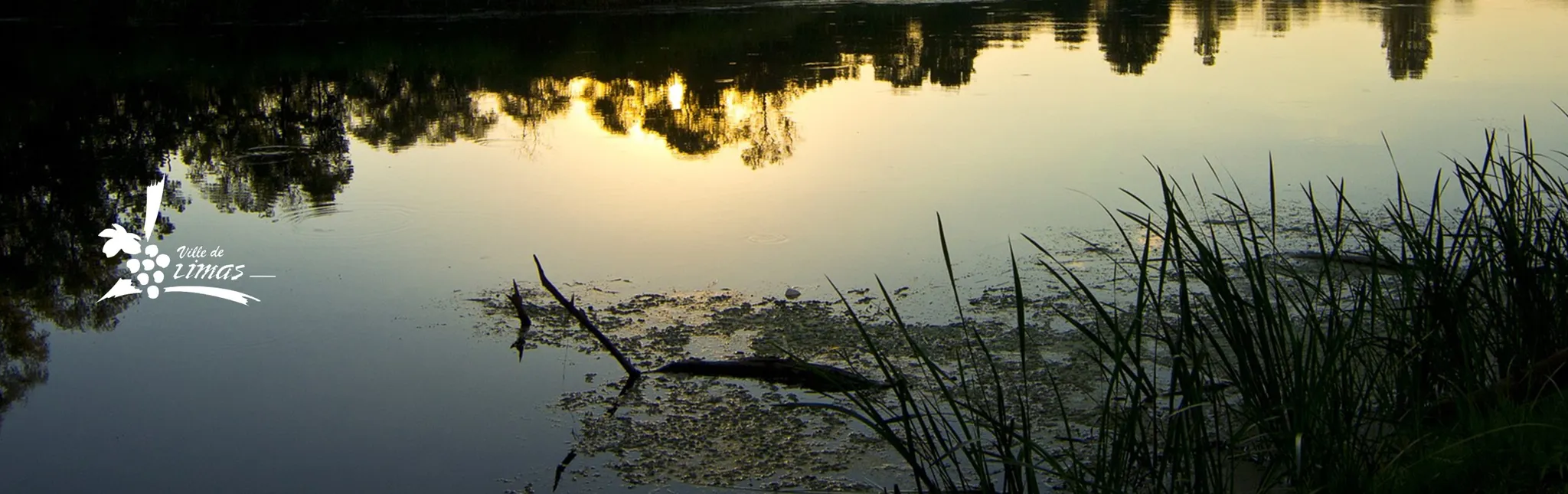 Stade Jean Thévenet