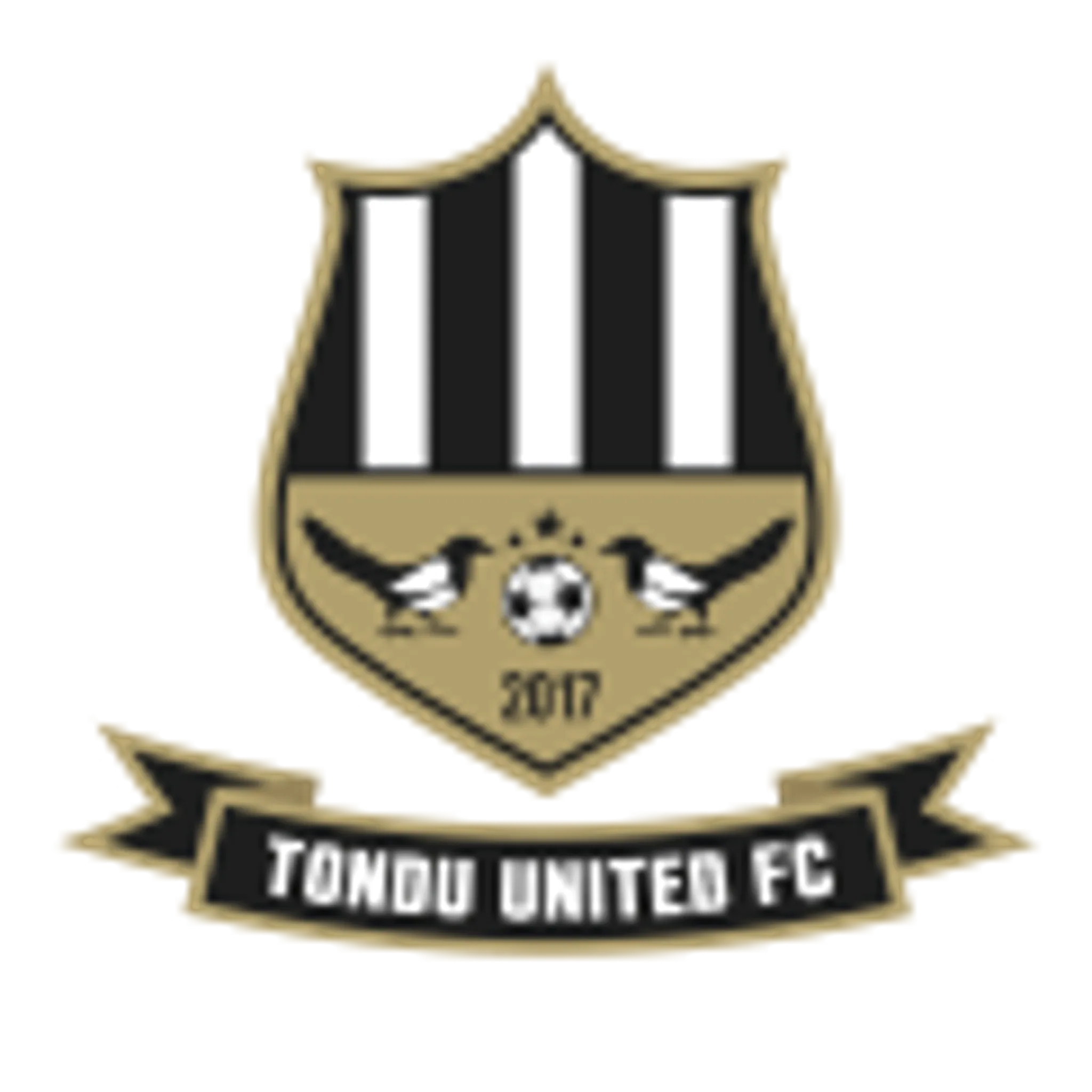 Tondu United Football Club