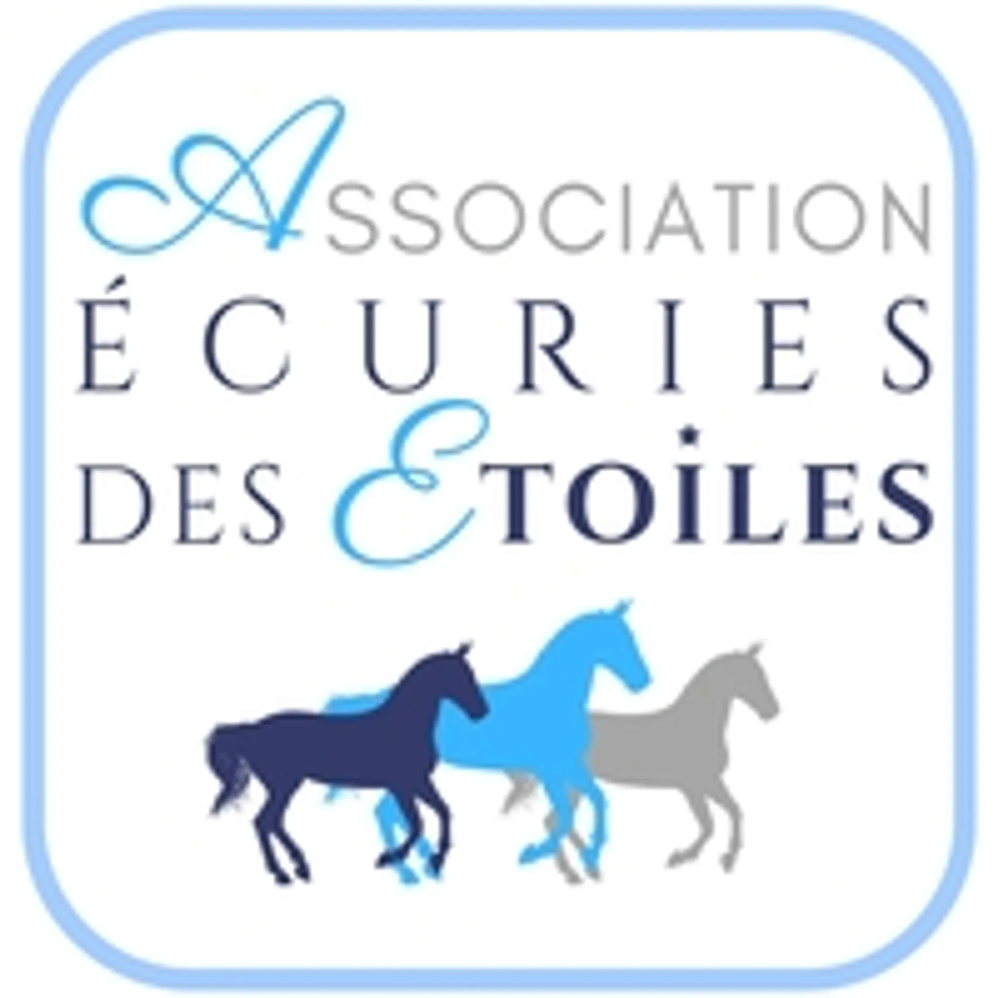 Stalls Des Étoiles