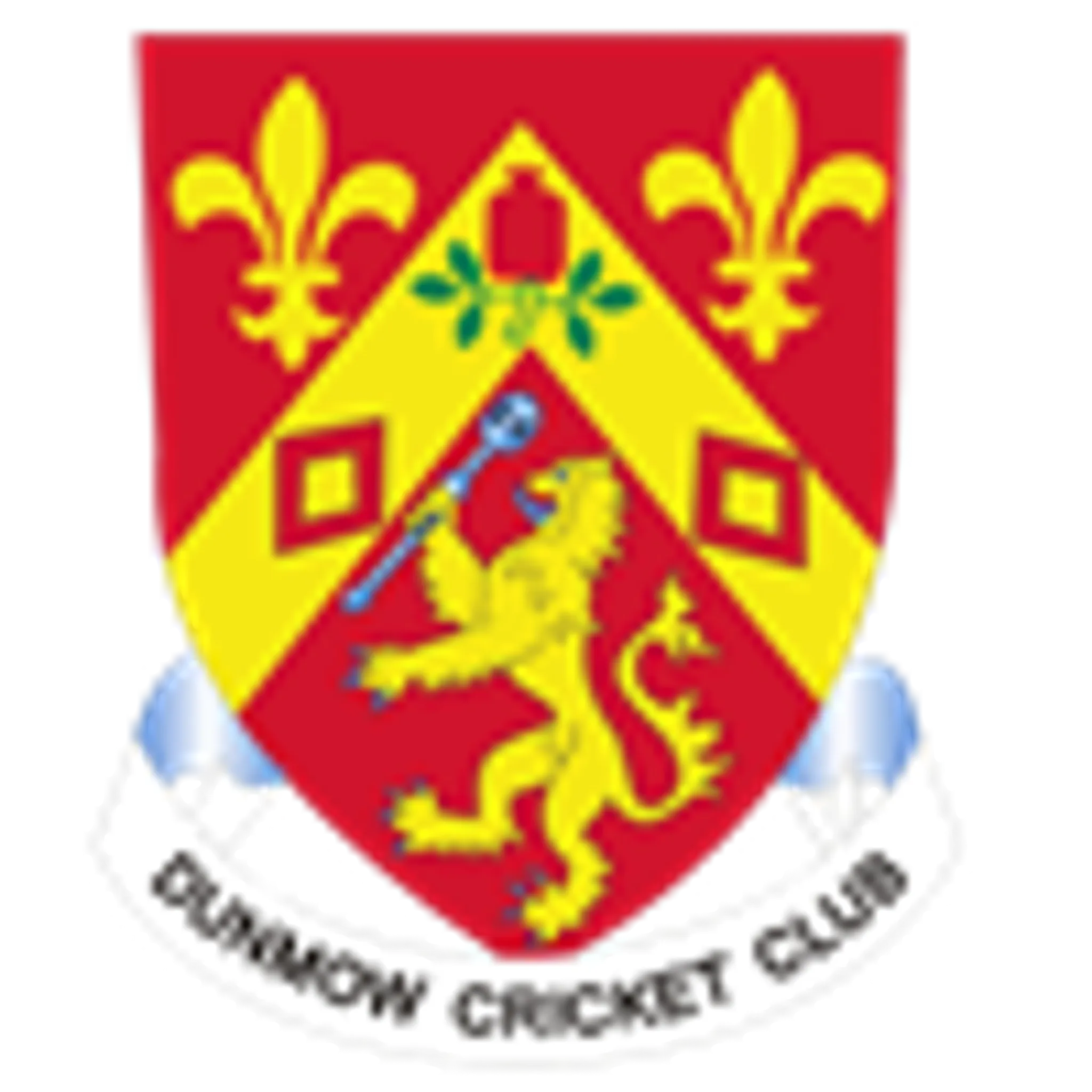 Dunmow Cricket Club