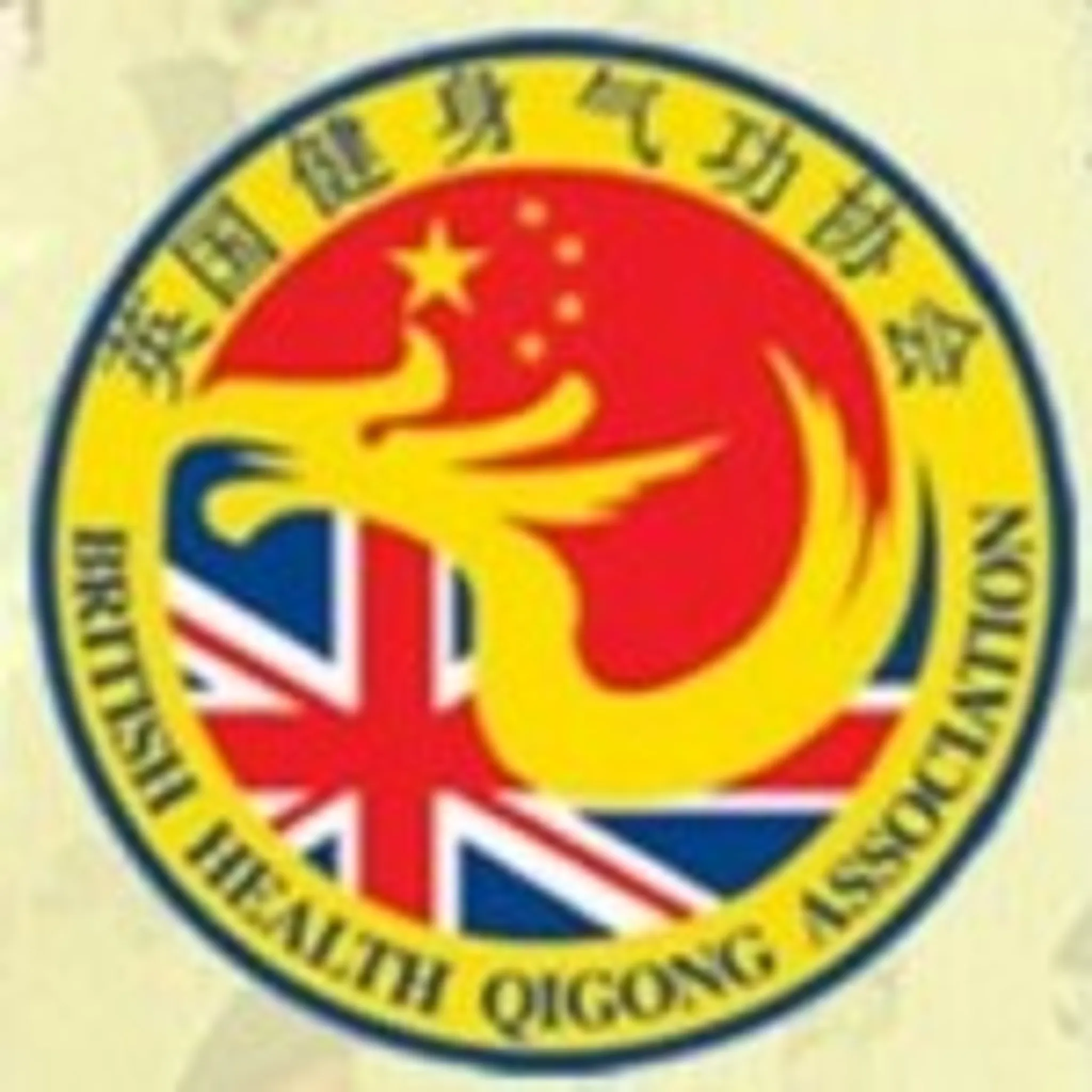 Wildhorse Derby Tai Chi and Health Qigong Centre