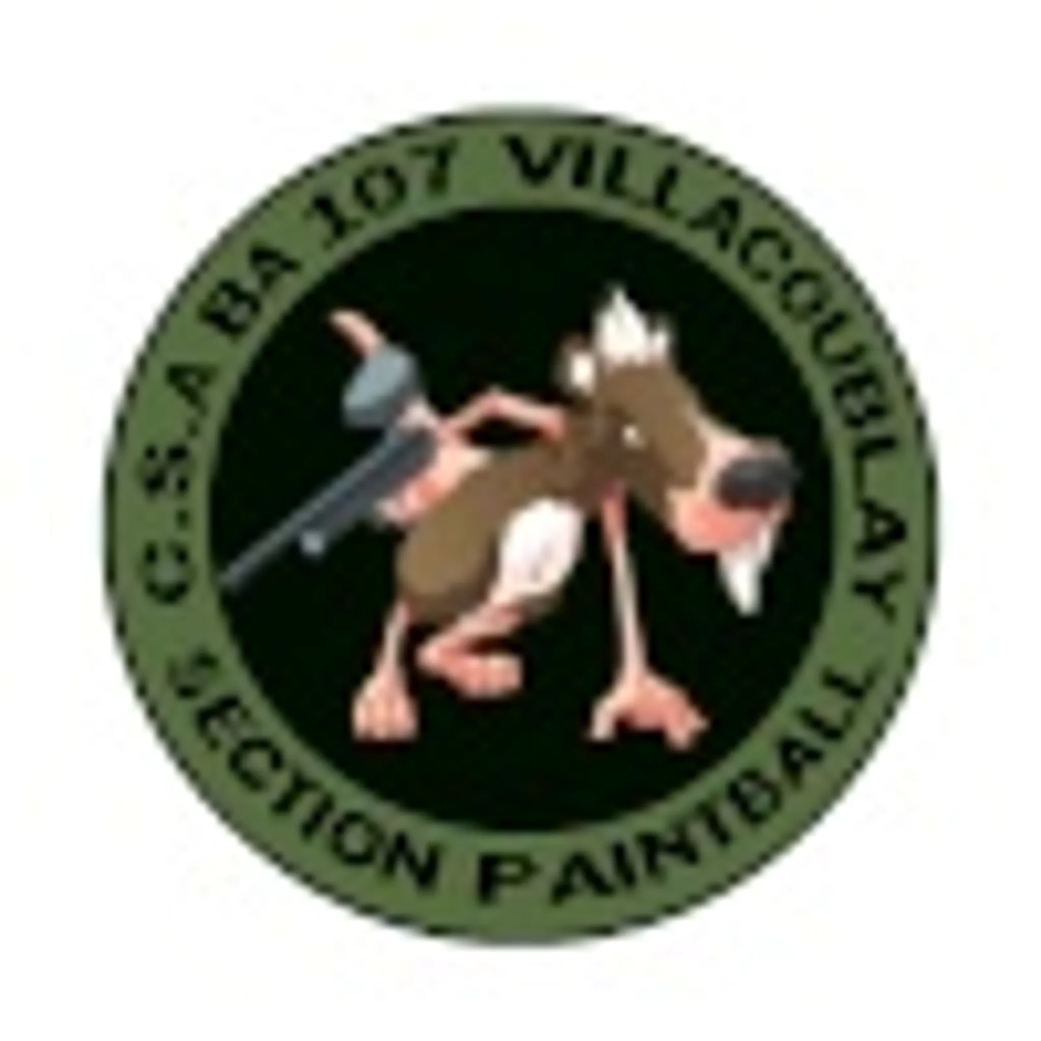 Villapaintball