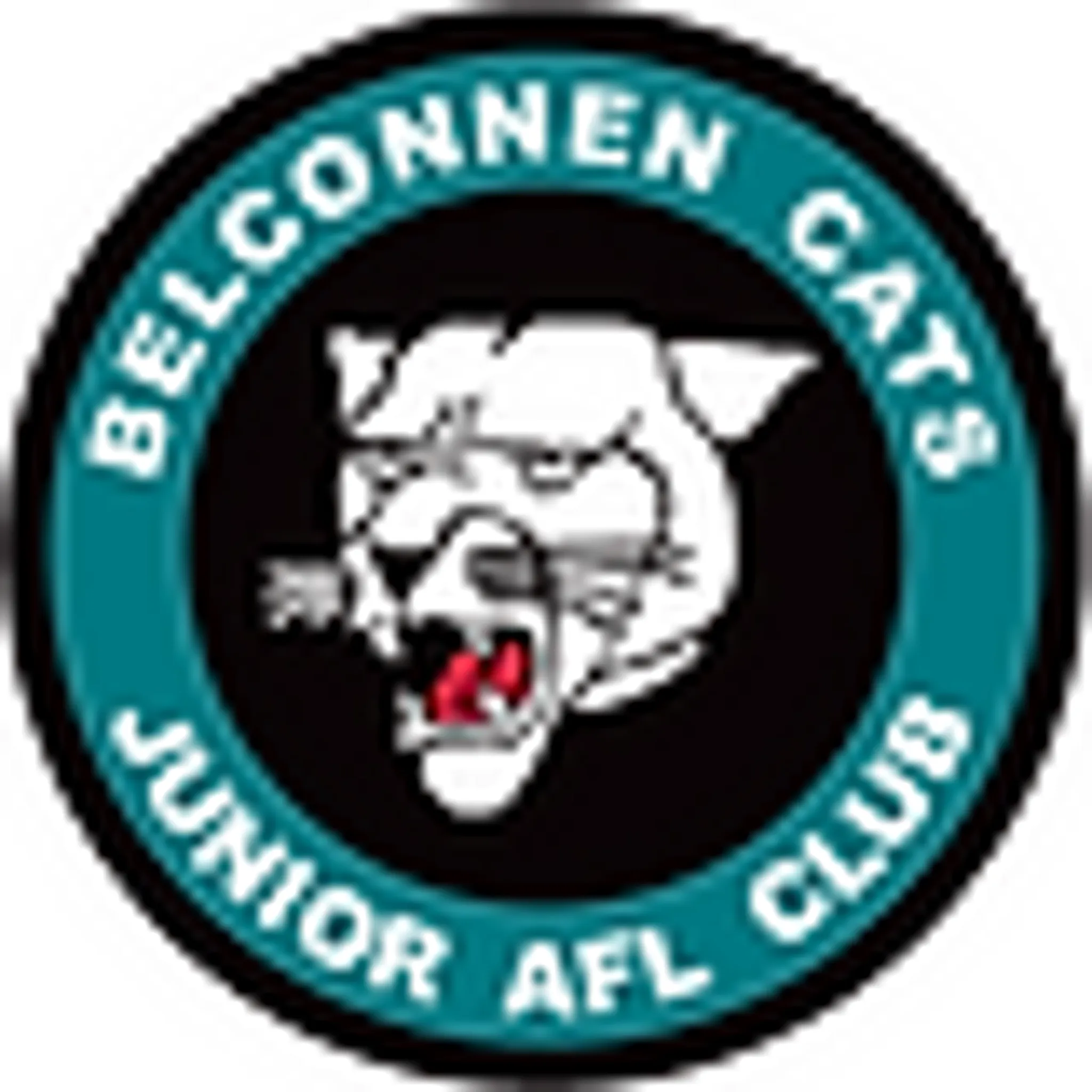 Belconnen Cats Football Club