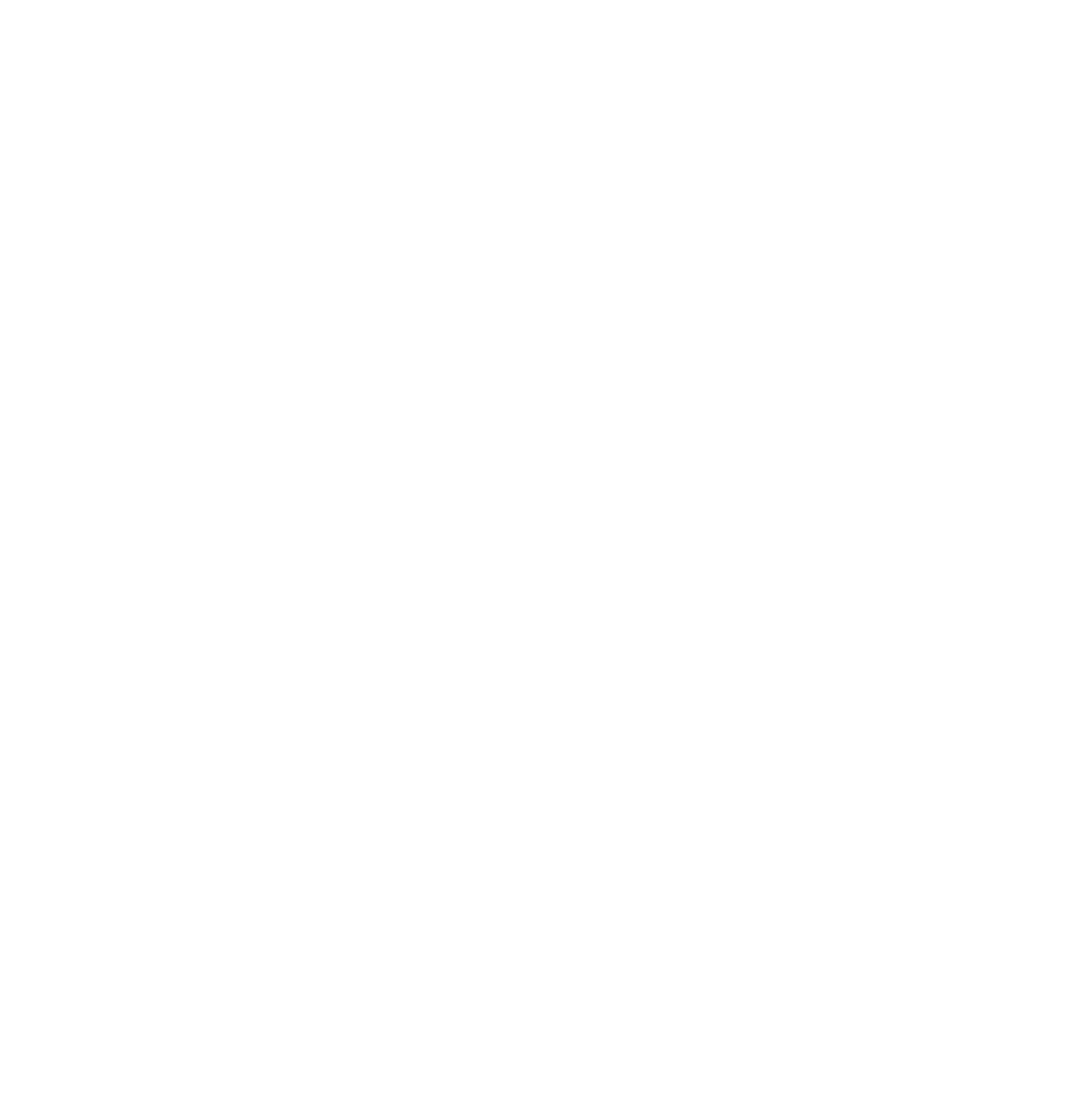 Shaolin Martial Arts Centres