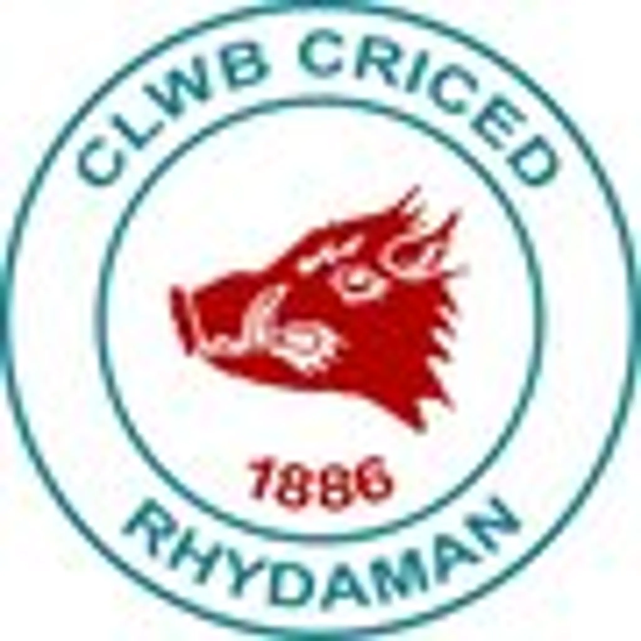 Ammanford Cricket Club