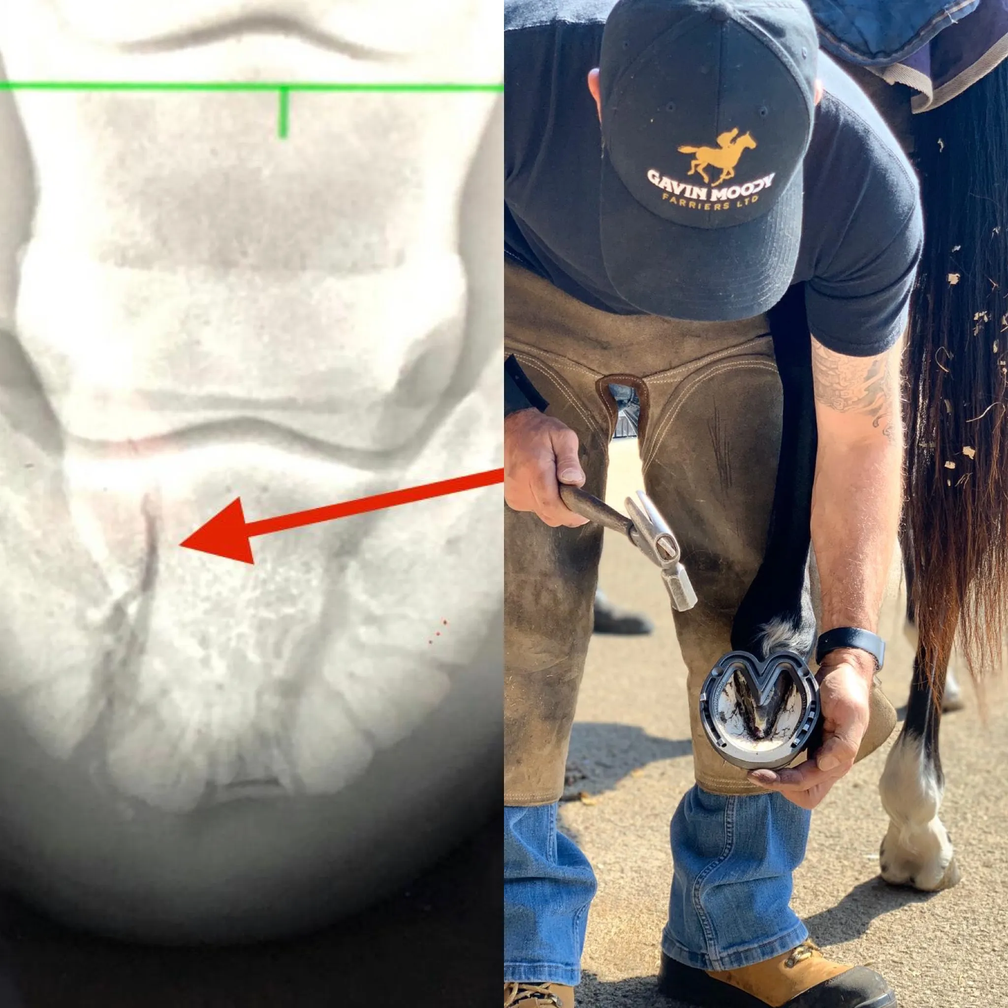 GAVIN MOODY FARRIERS LTD