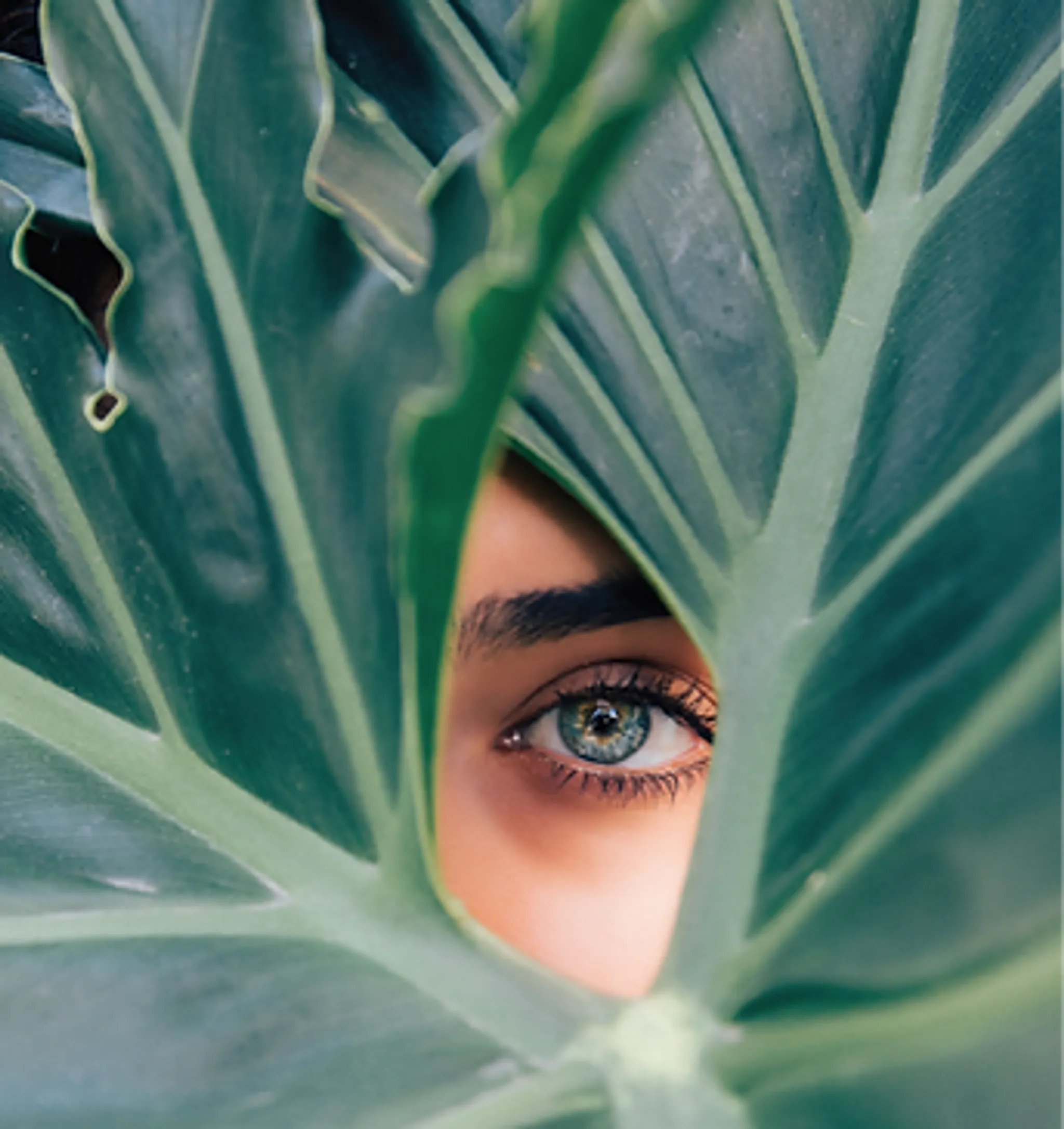 Holistically Healing Haven