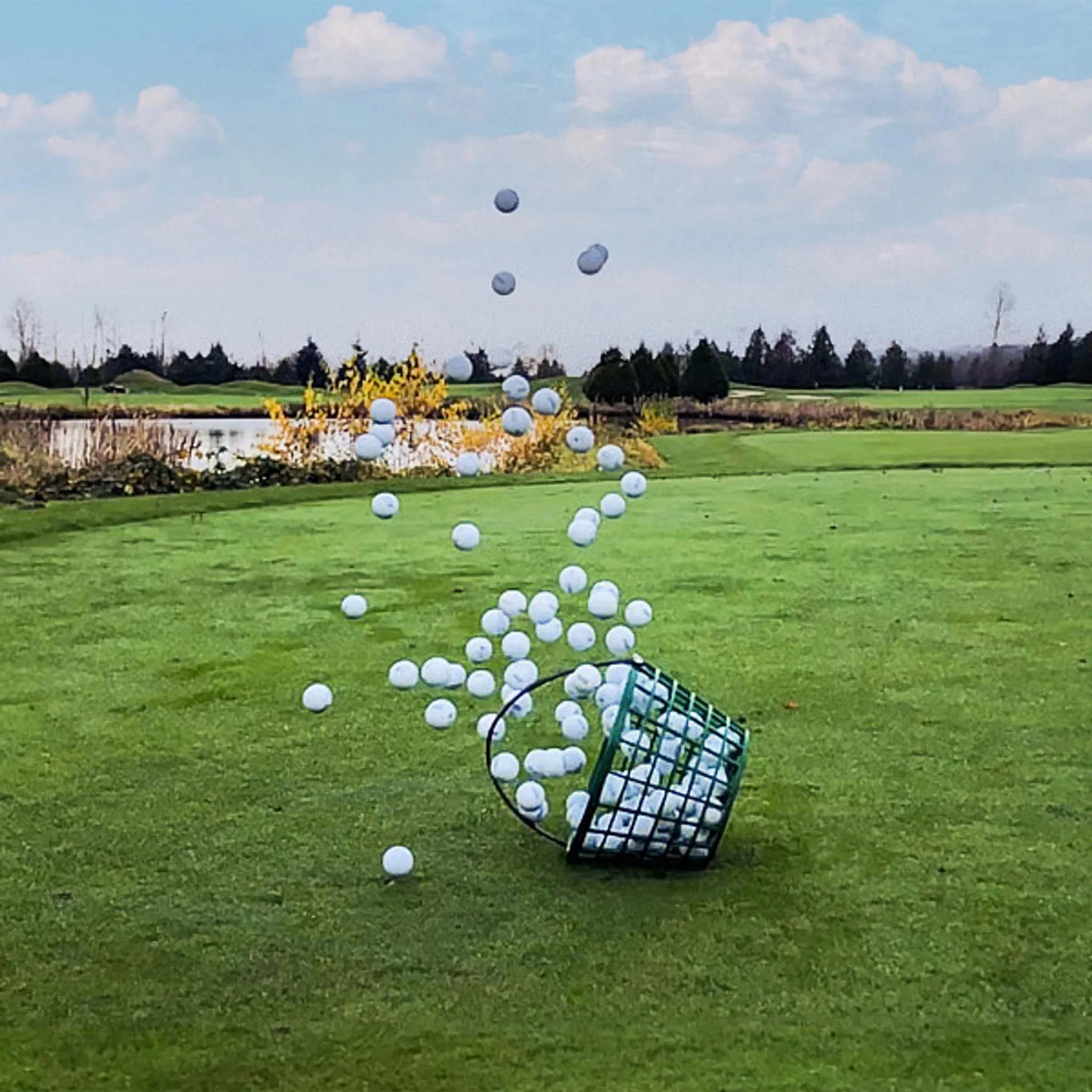 Central Park Pitch & Putt