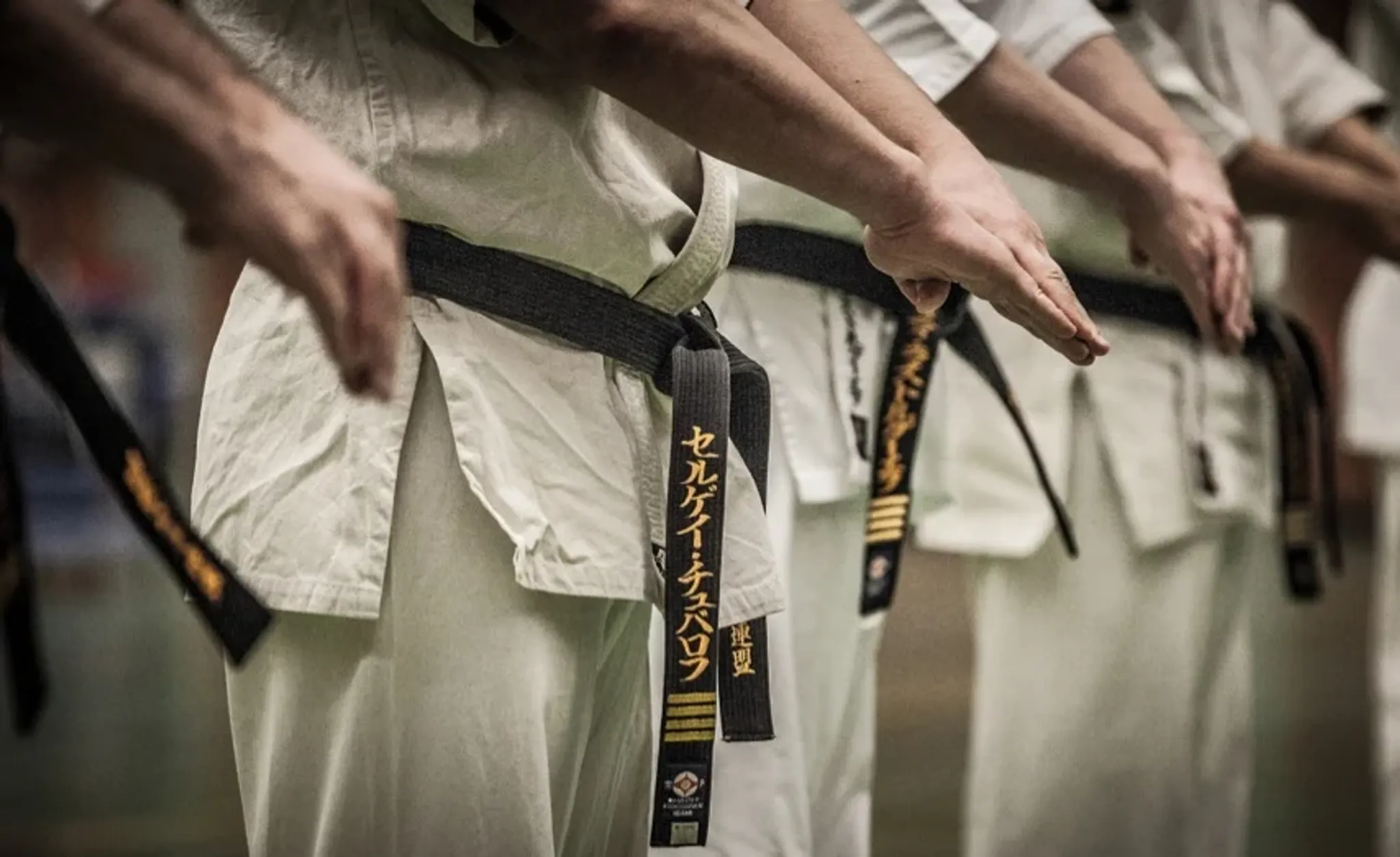 Kyokushin Karate