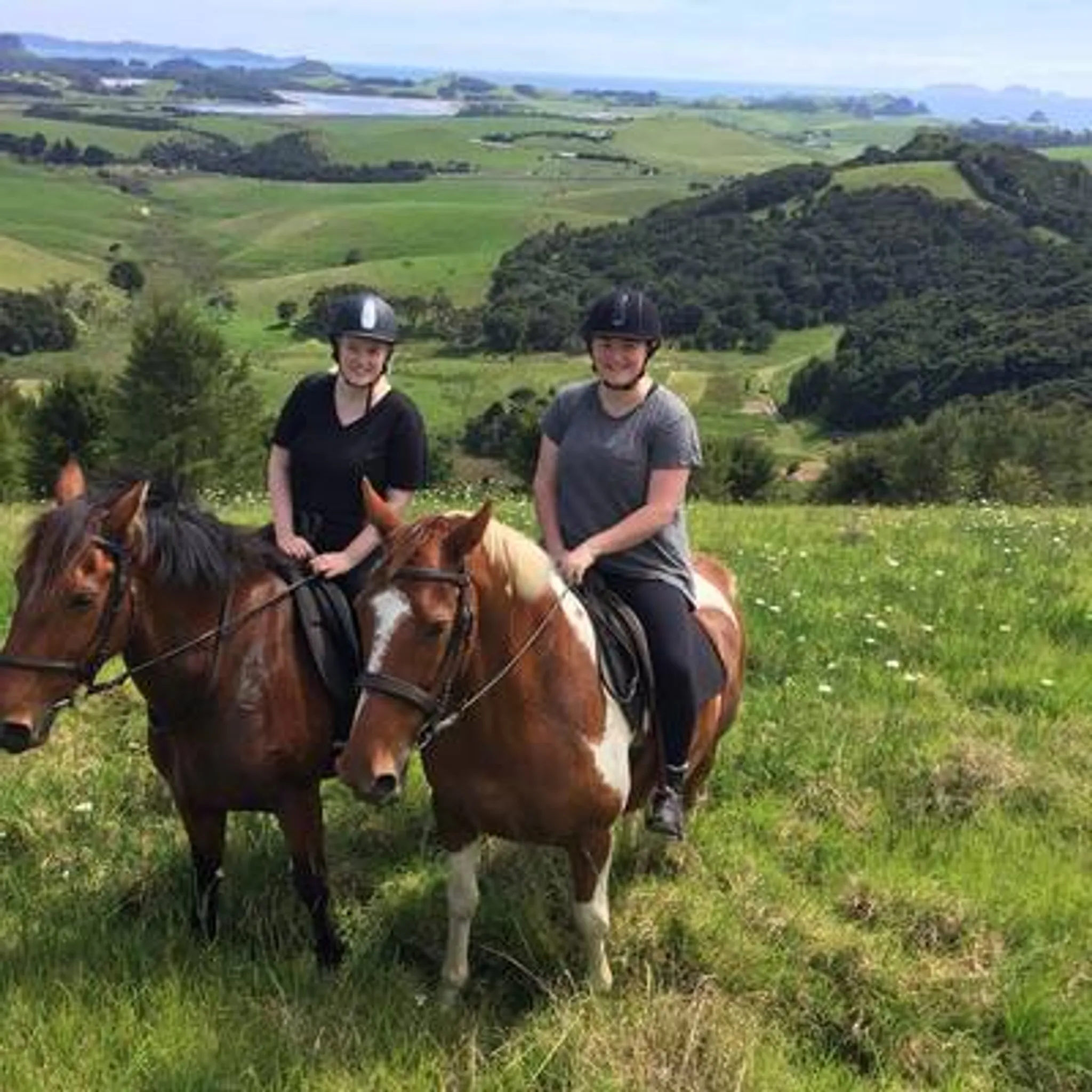 Coastal Riding Whangarei Heads