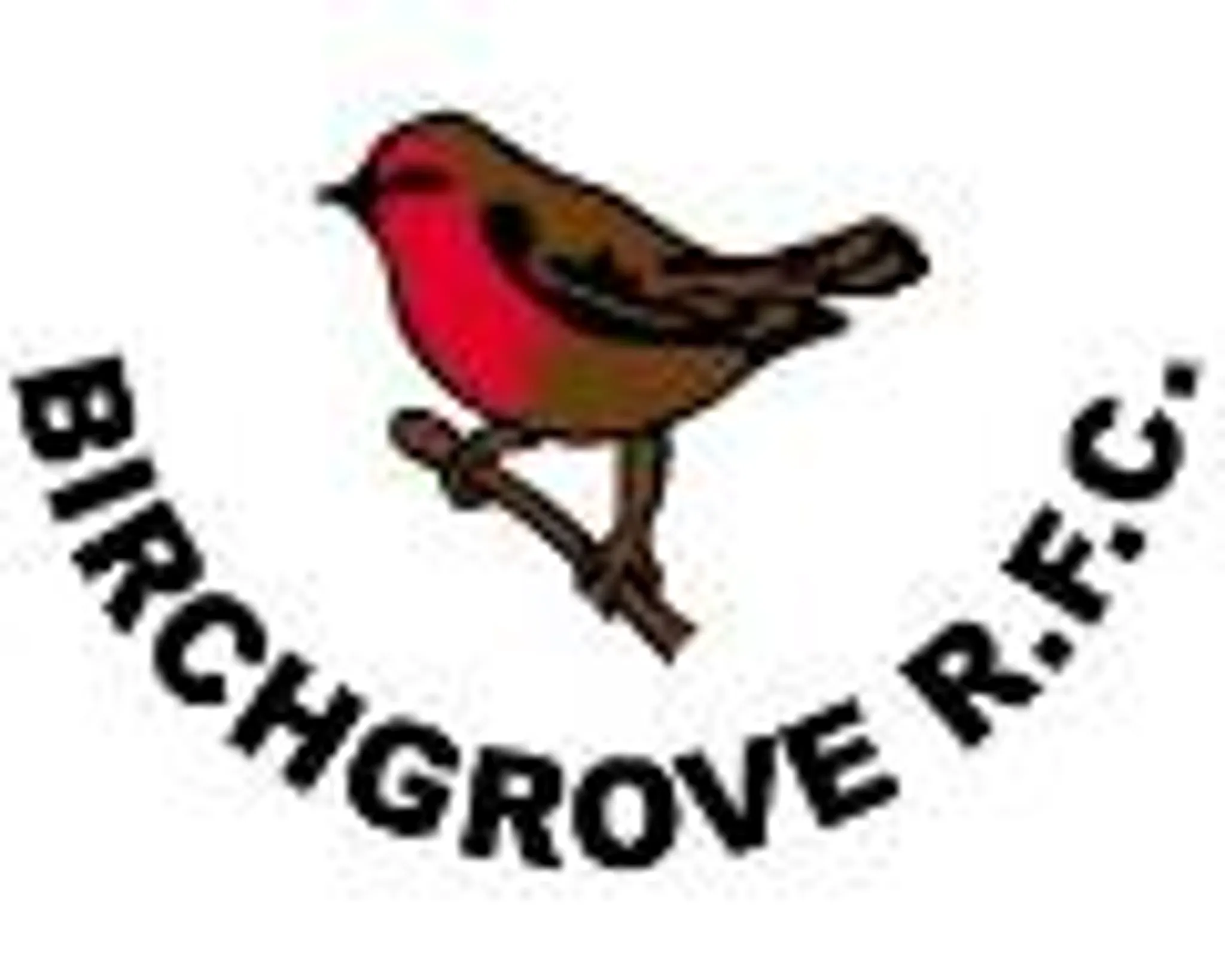Birchgrove RFC