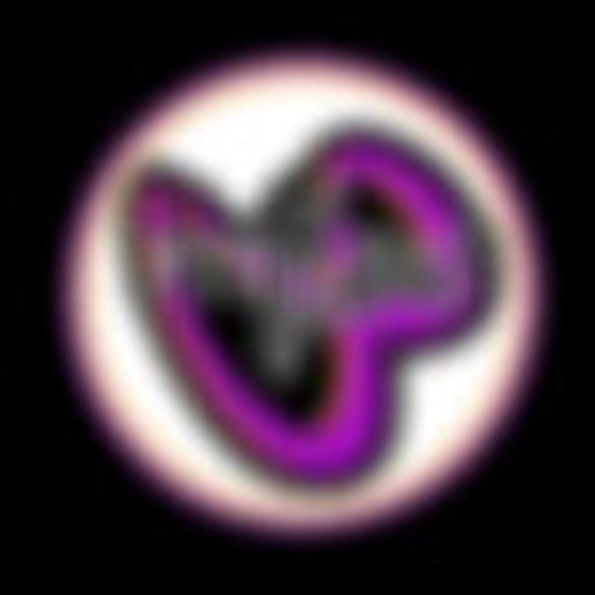 DanceFit with Hayley H