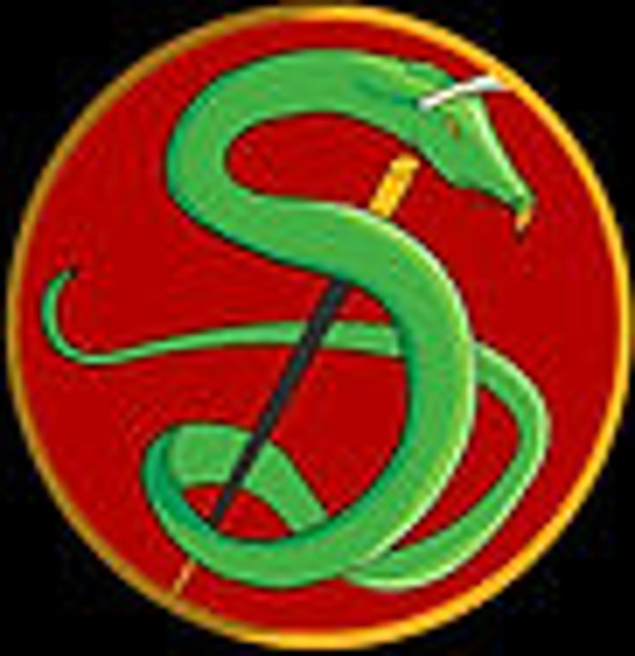 Animal Spirit Martial Arts Academy