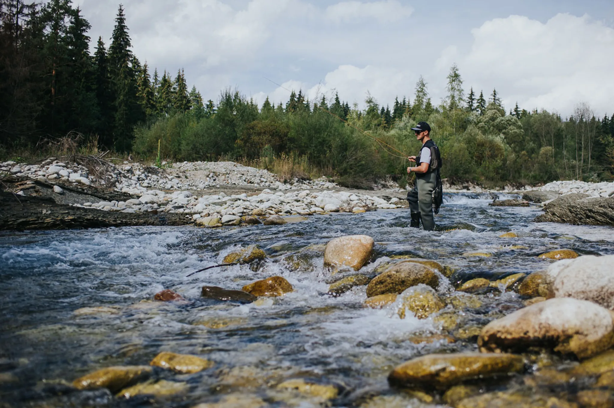 Zarybnenie pstruhom potočným – rýchlený