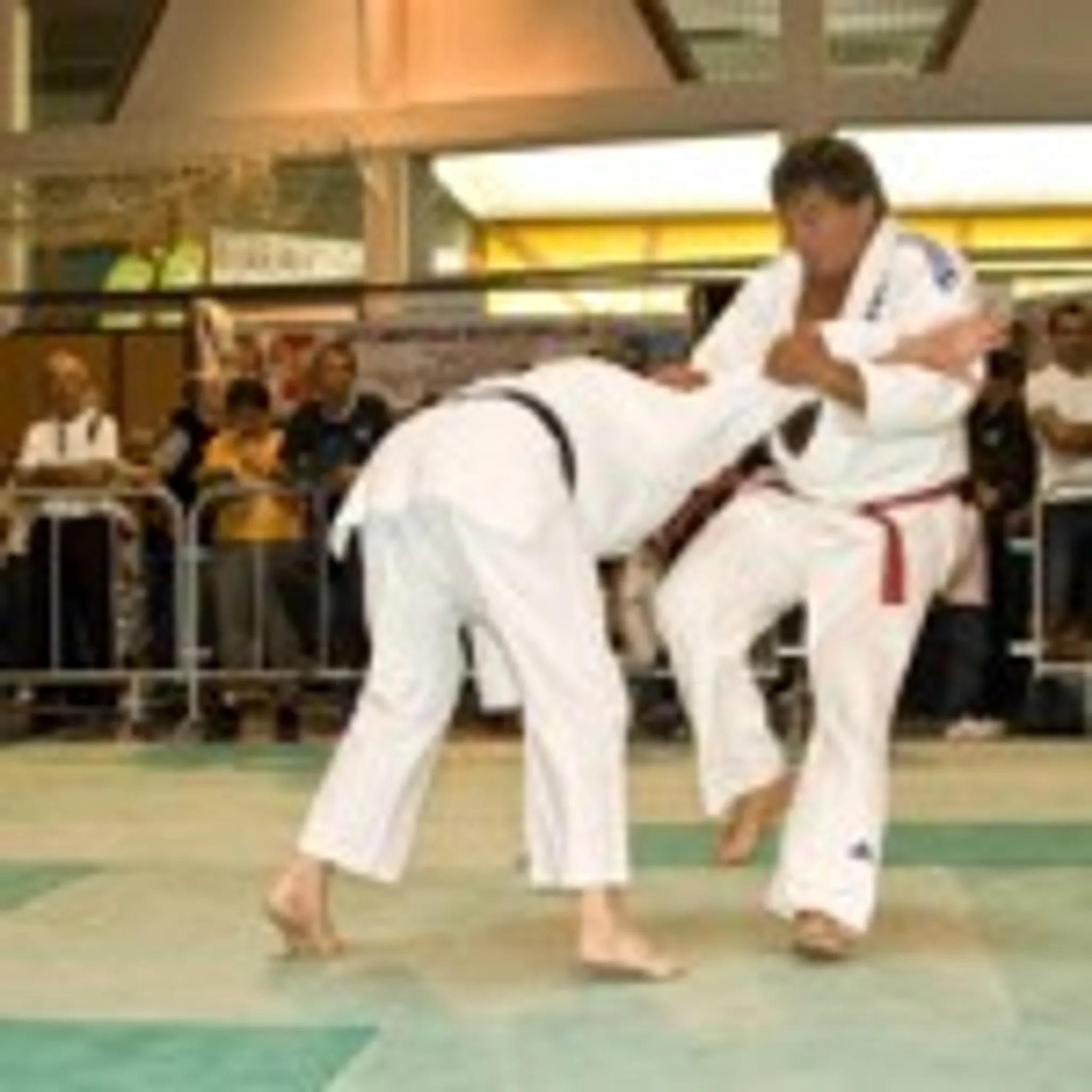 Sreg Judo Mulhouse