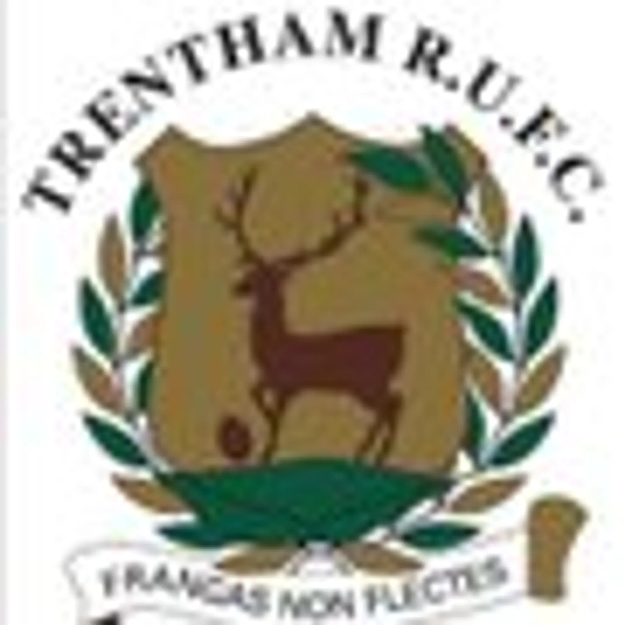 Trentham Rugby Union Football Club