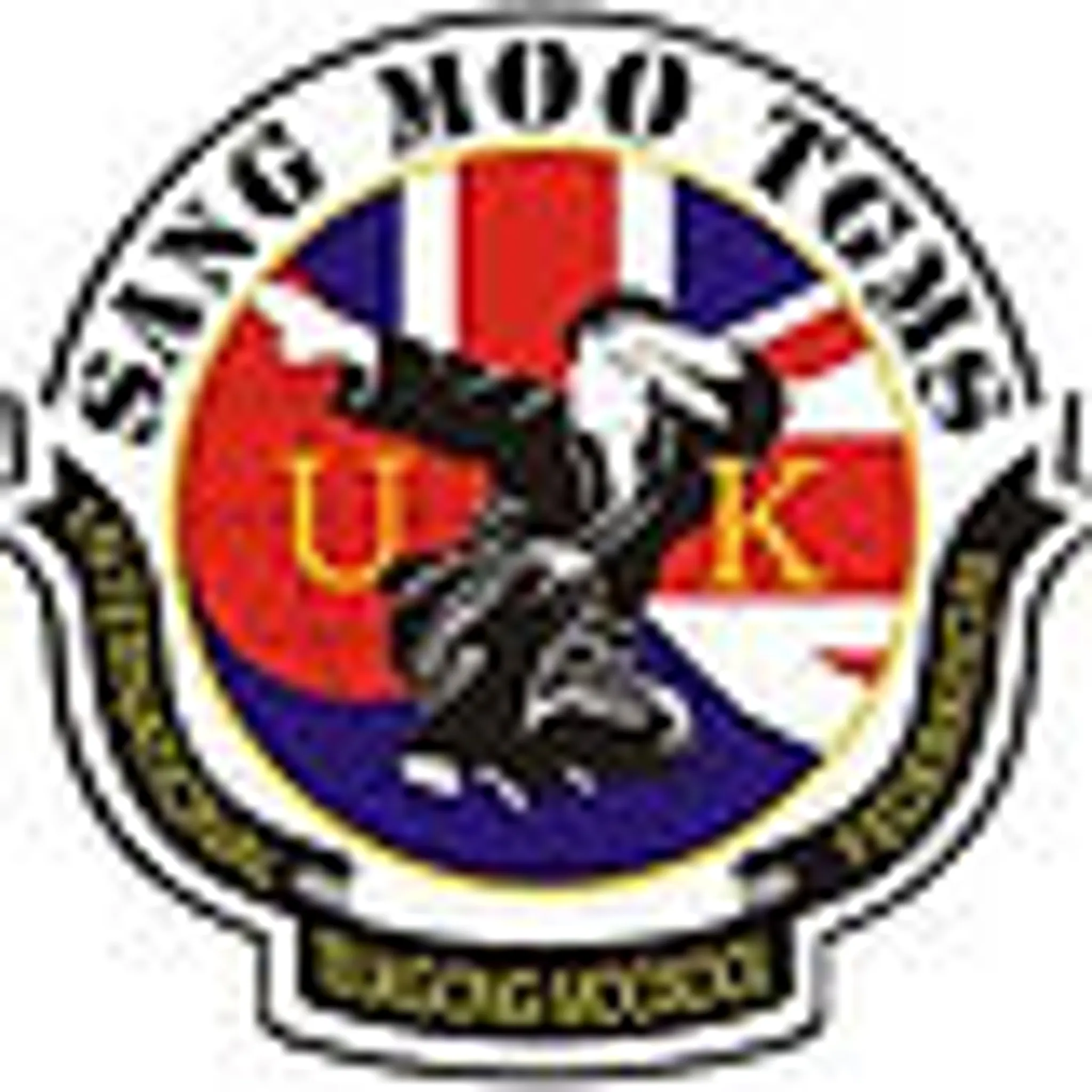 Sang Moo TGMS Martial Arts New Malden branch