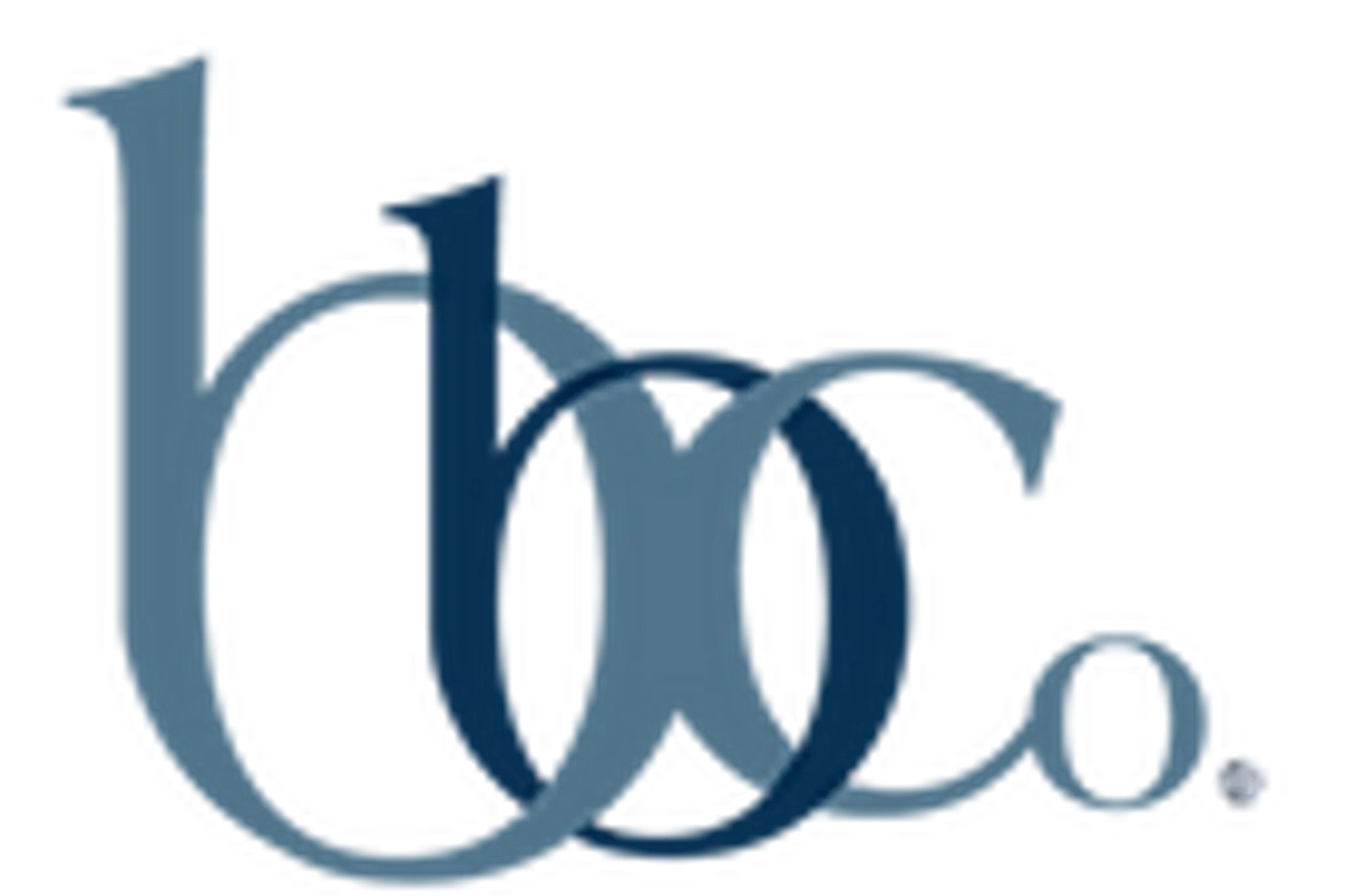 The Birmingham Ballet Company