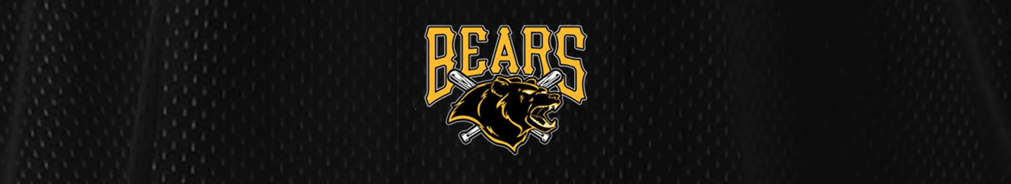 Waitakere Bears Baseball Club
